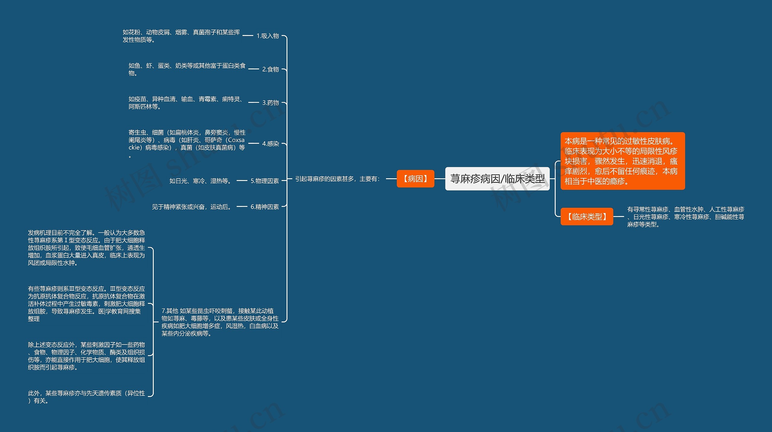 荨麻疹病因/临床类型 荨麻疹病因/临床类型
