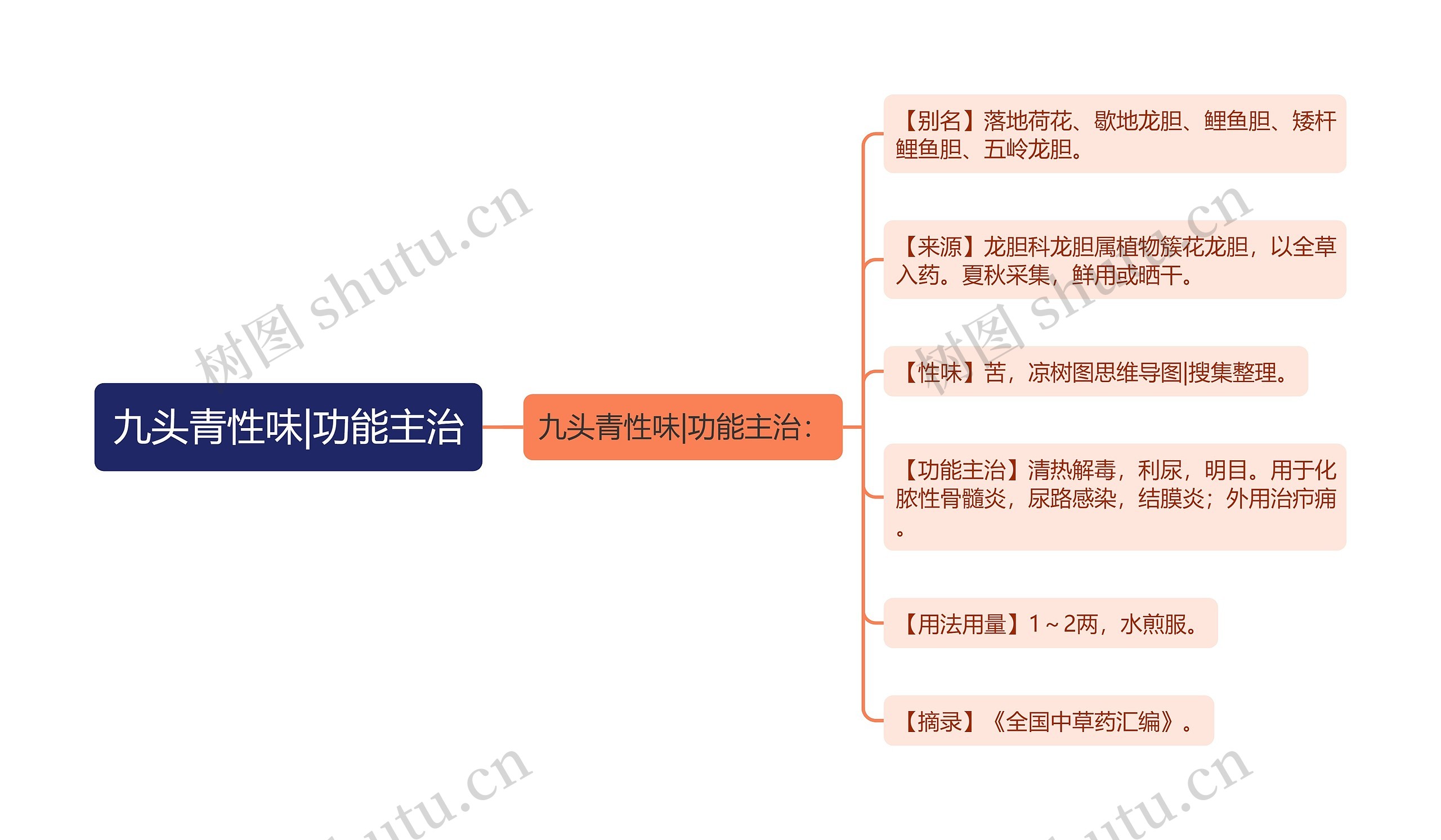 九头青性味|功能主治思维导图