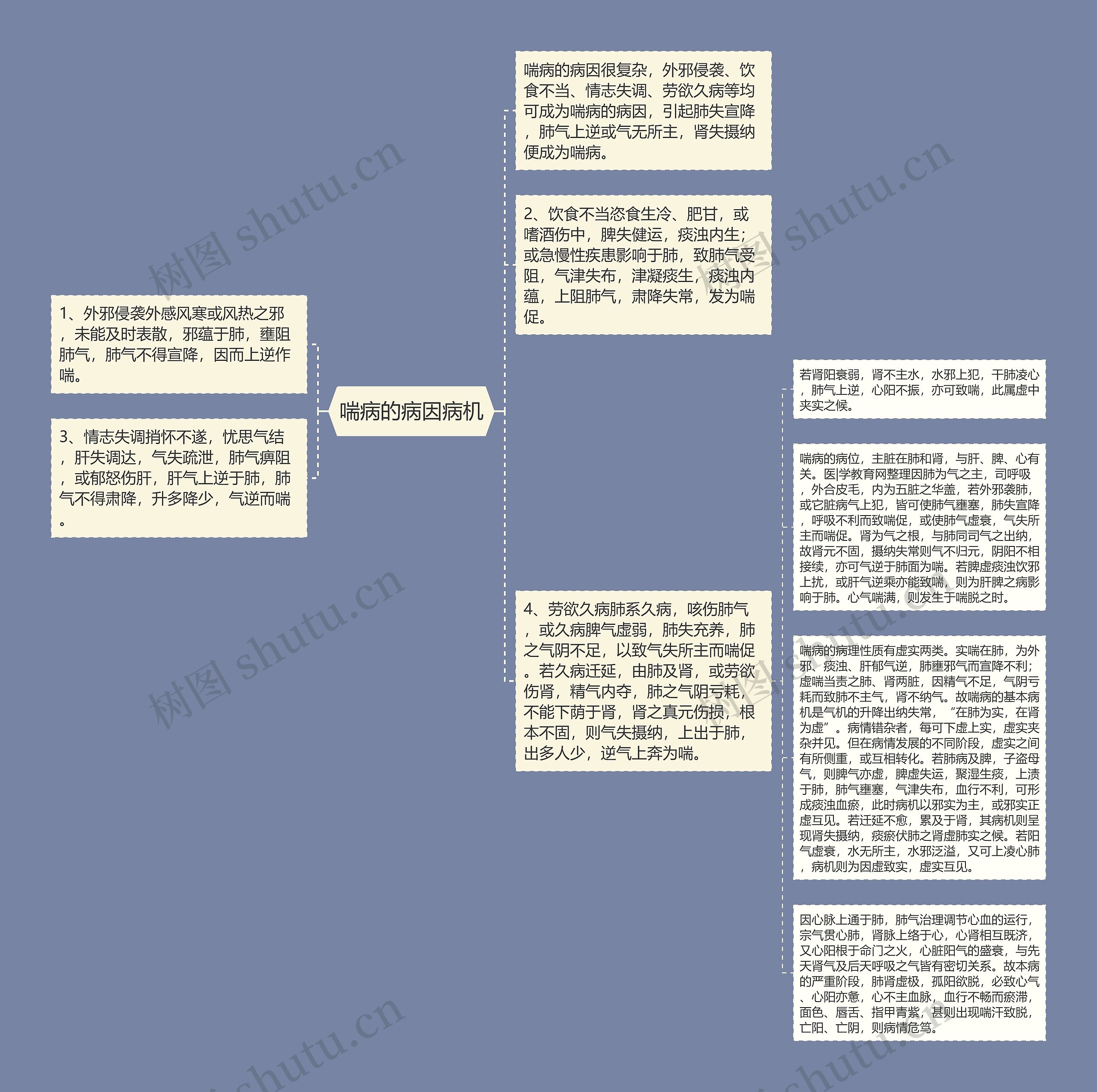 喘病的病因病机思维导图