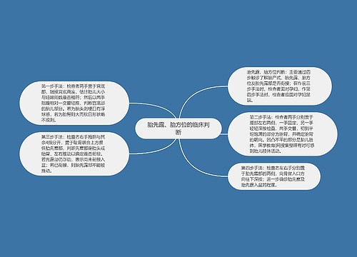 胎先露、胎方位的临床判断