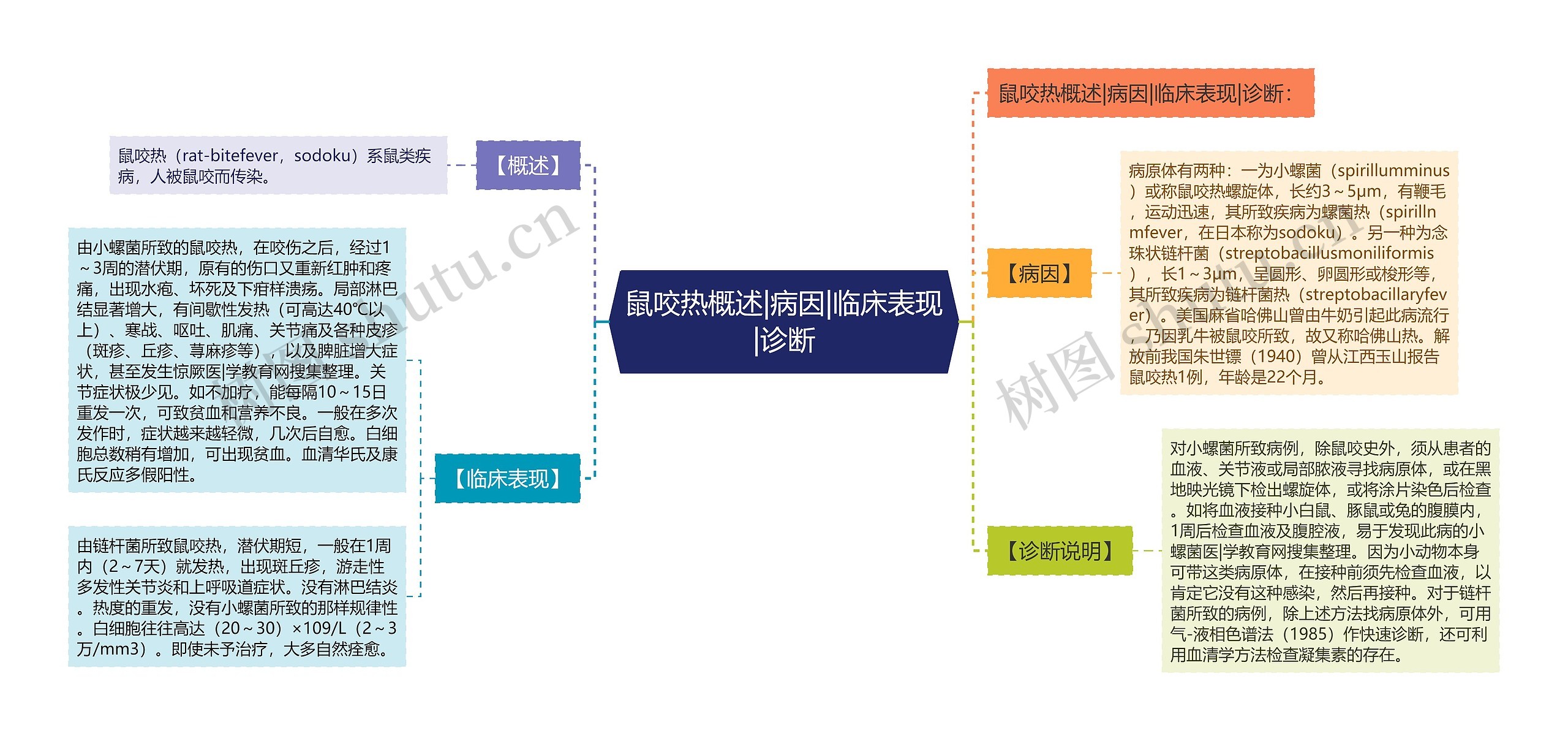 鼠咬热概述|病因|临床表现|诊断思维导图