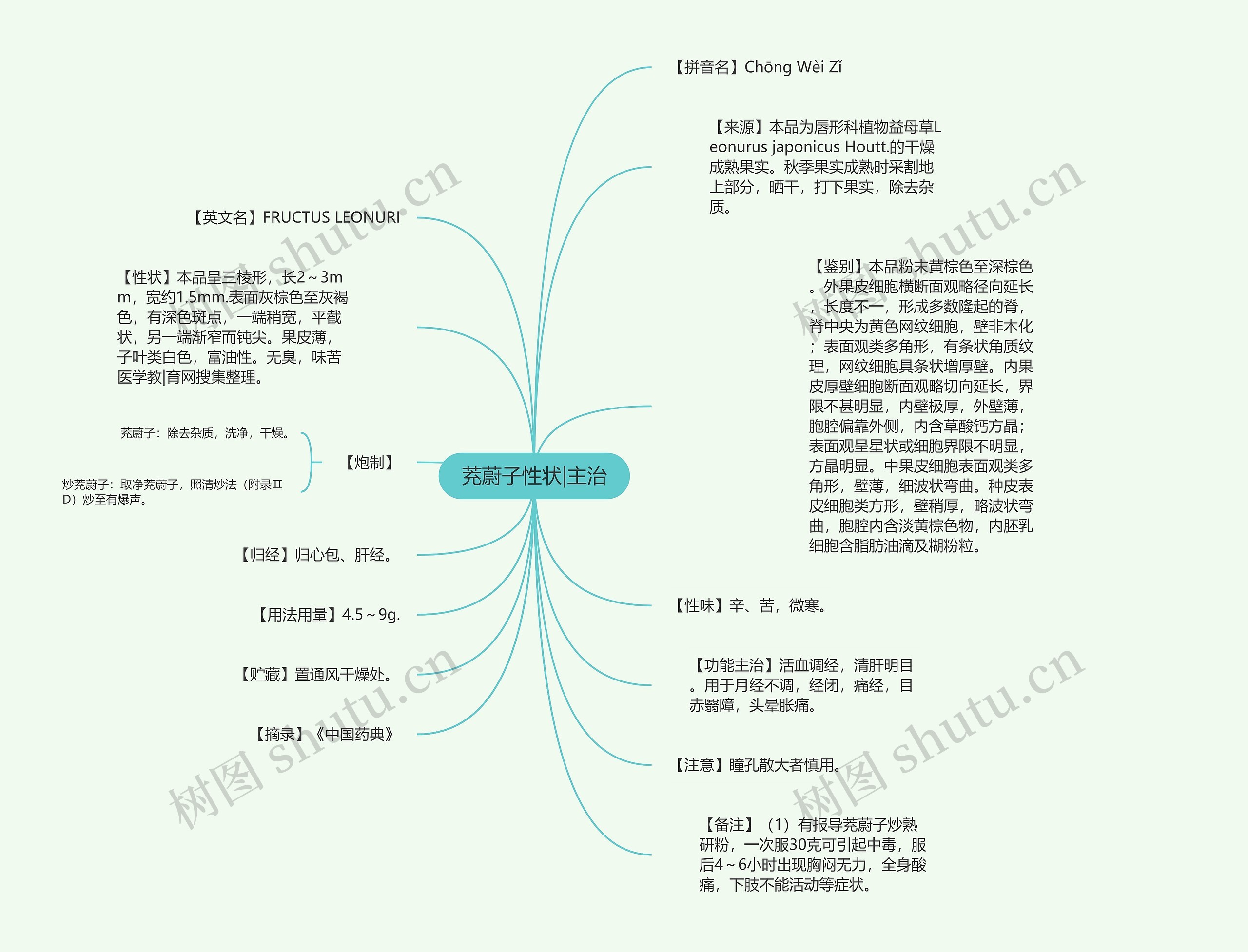 茺蔚子性状|主治思维导图