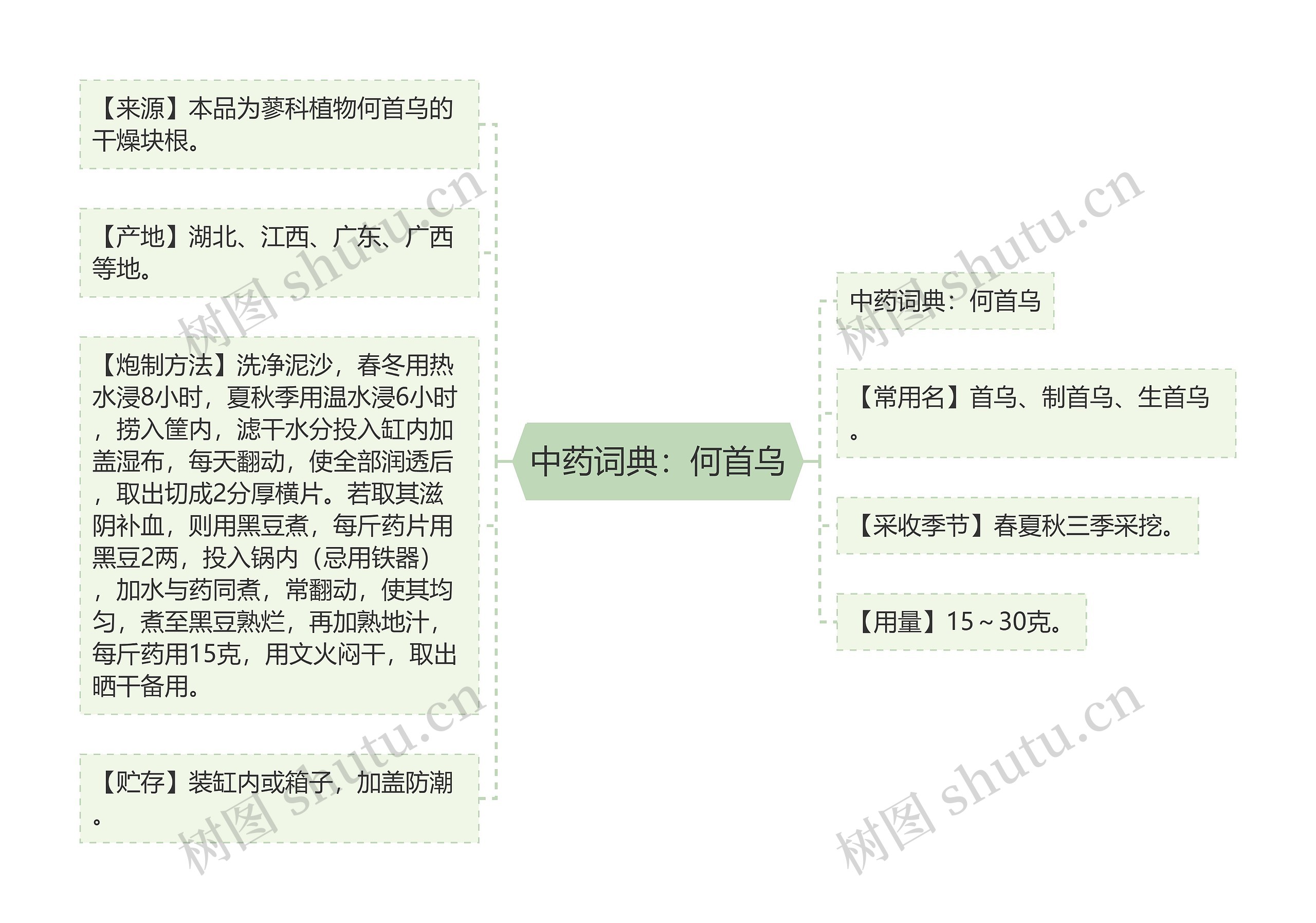 中药词典：何首乌