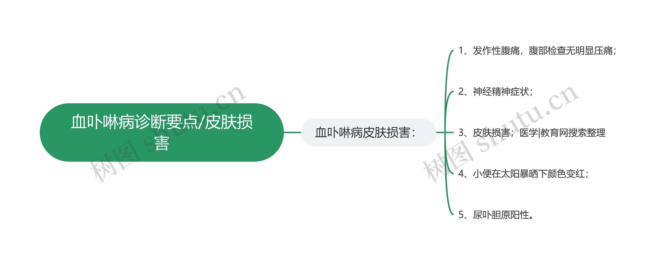 血卟啉病诊断要点/皮肤损害思维导图