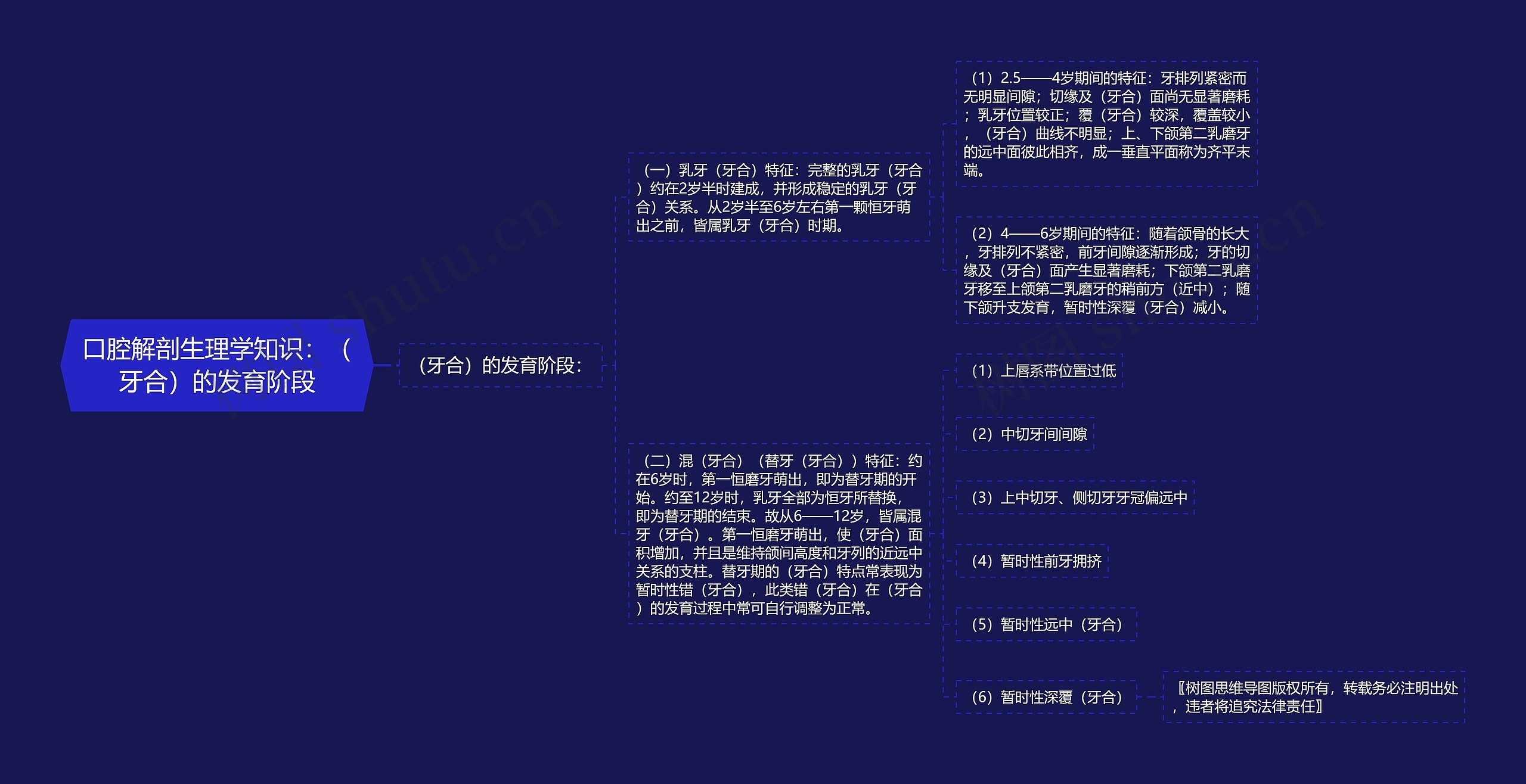 口腔解剖生理学知识：（牙合）的发育阶段思维导图