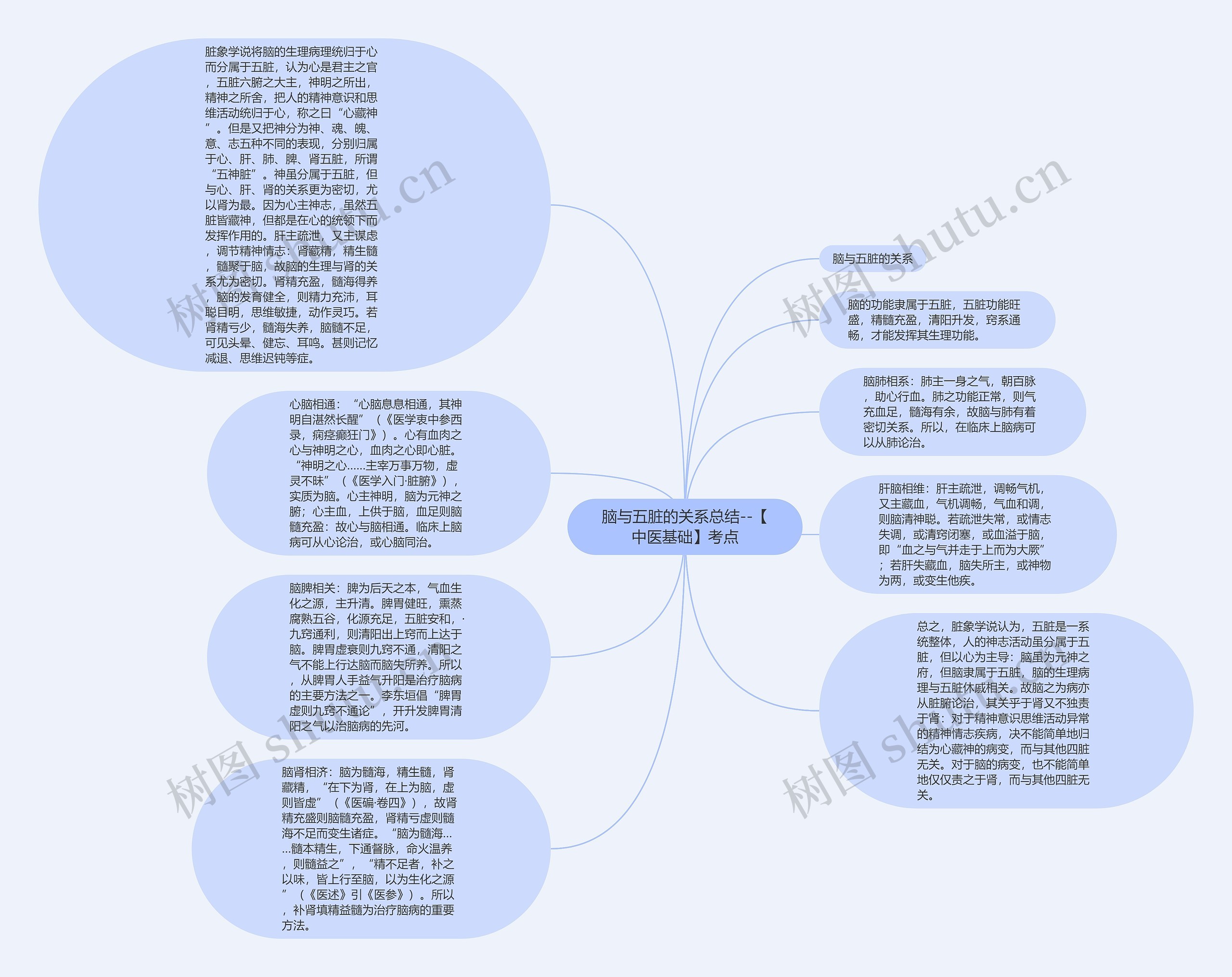 脑与五脏的关系总结--【中医基础】考点