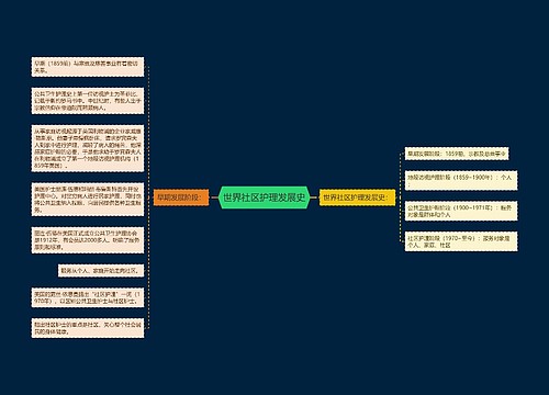 世界社区护理发展史