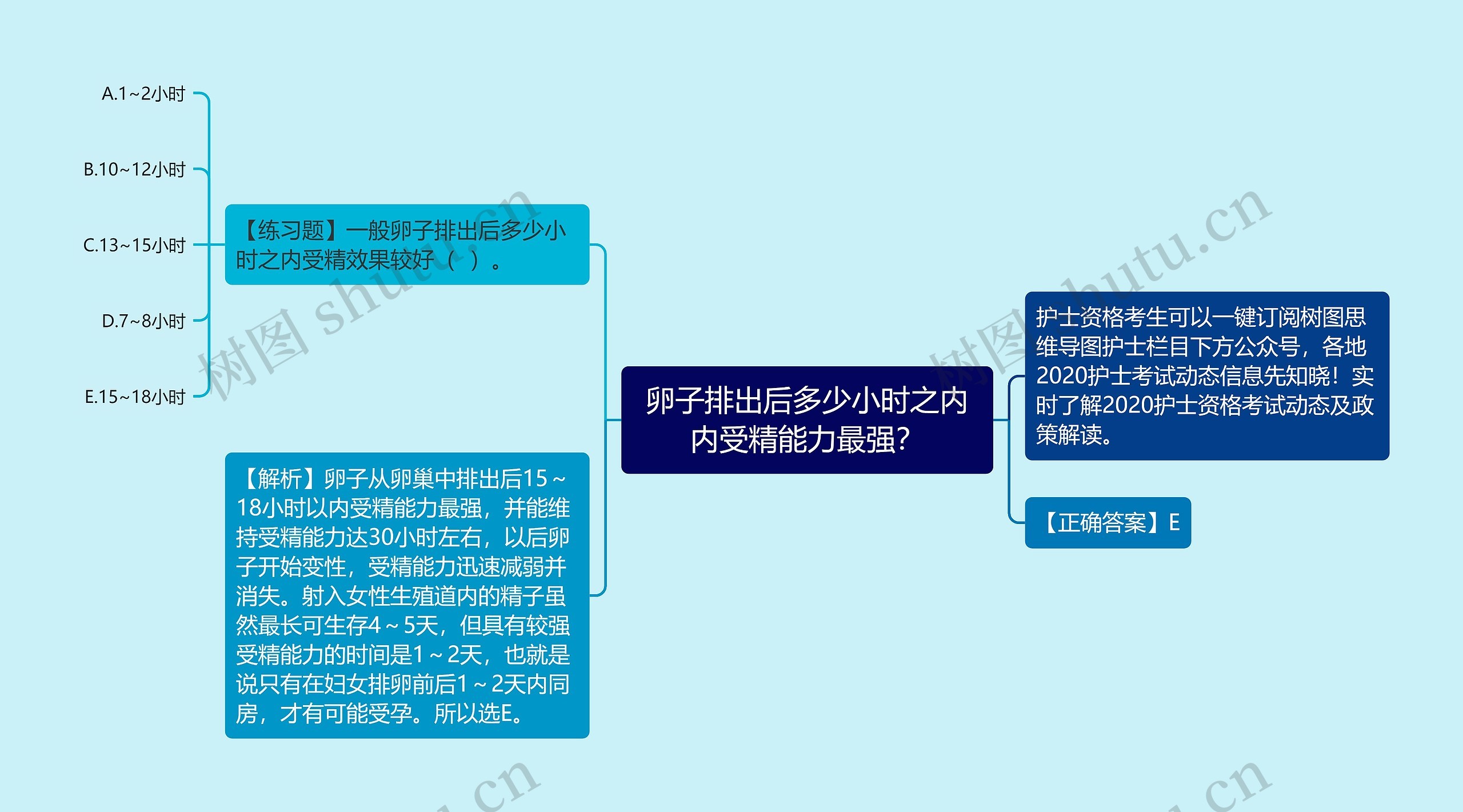 卵子排出后多少小时之内内受精能力最强？思维导图