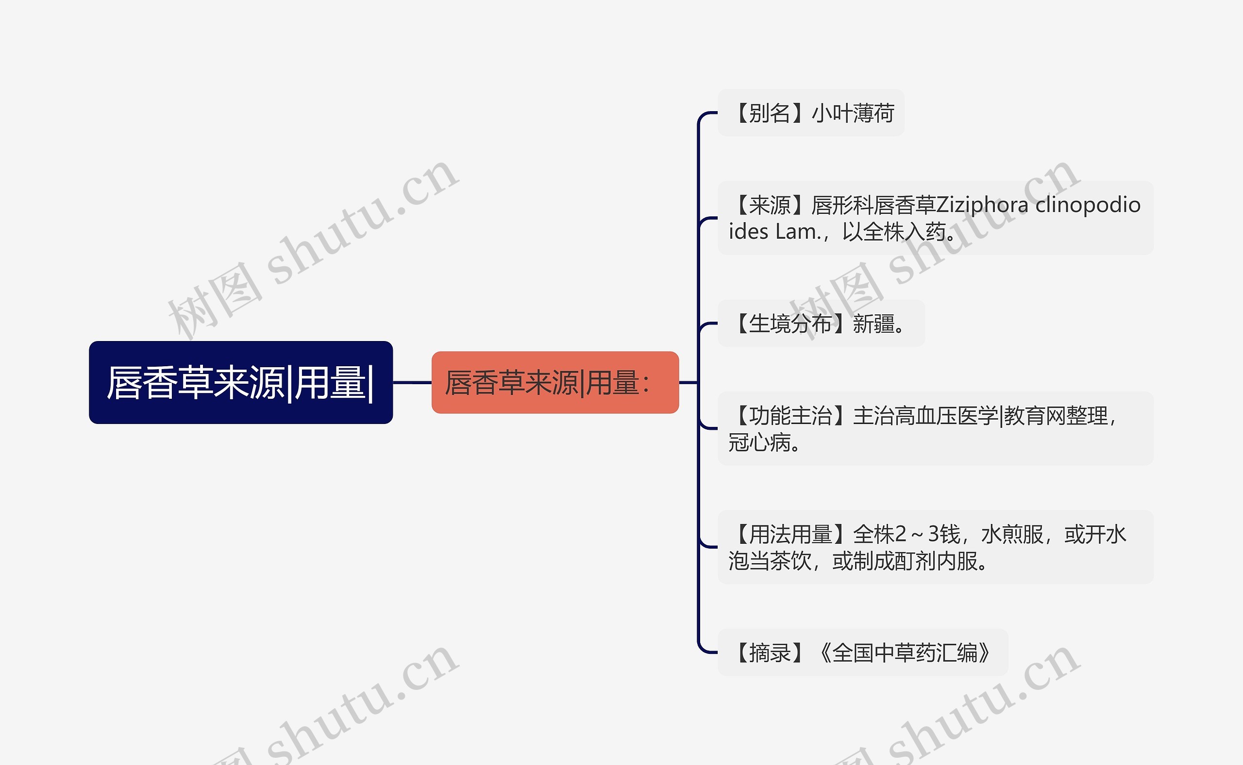 唇香草来源|用量|