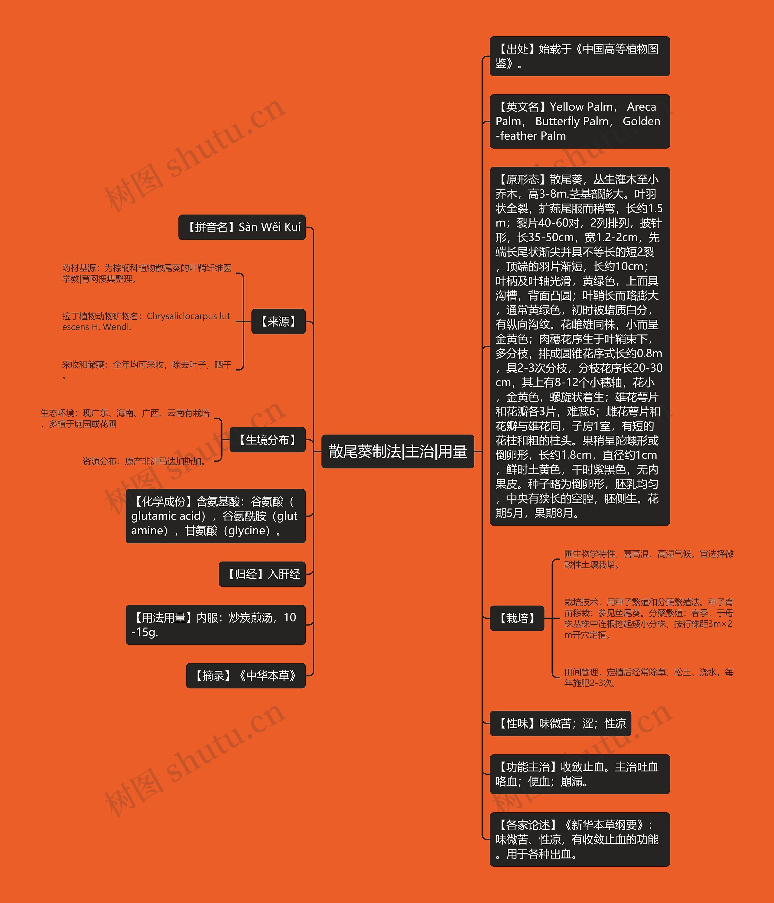 散尾葵制法|主治|用量