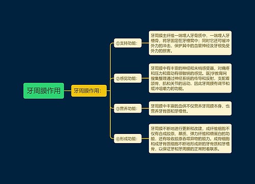 牙周膜作用