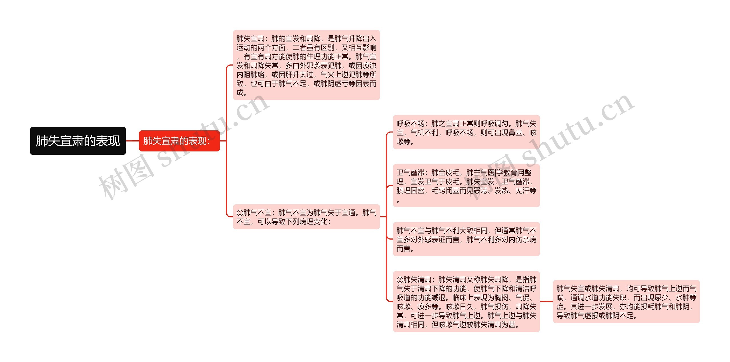 肺失宣肃的表现思维导图