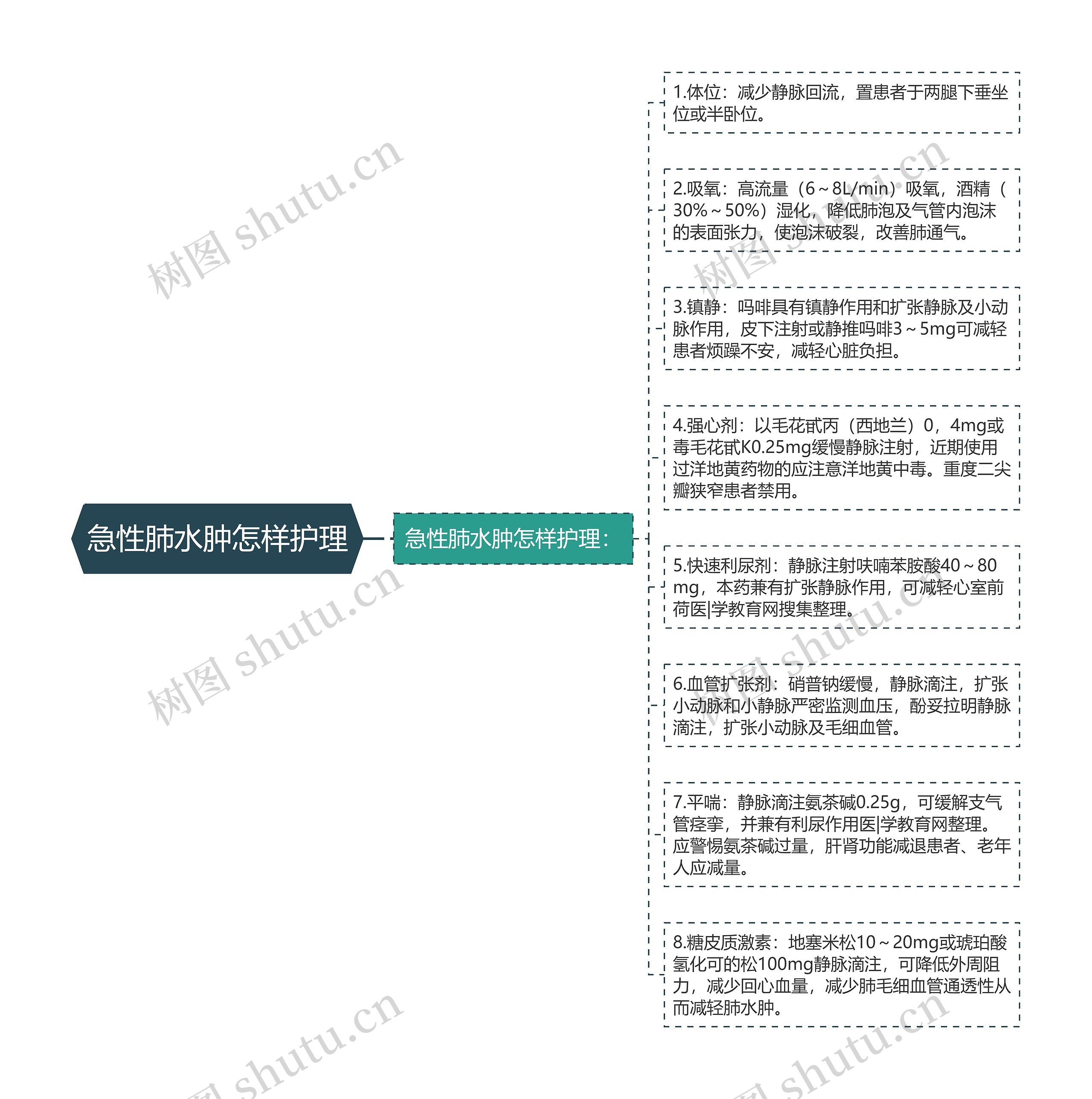 急性肺水肿怎样护理思维导图