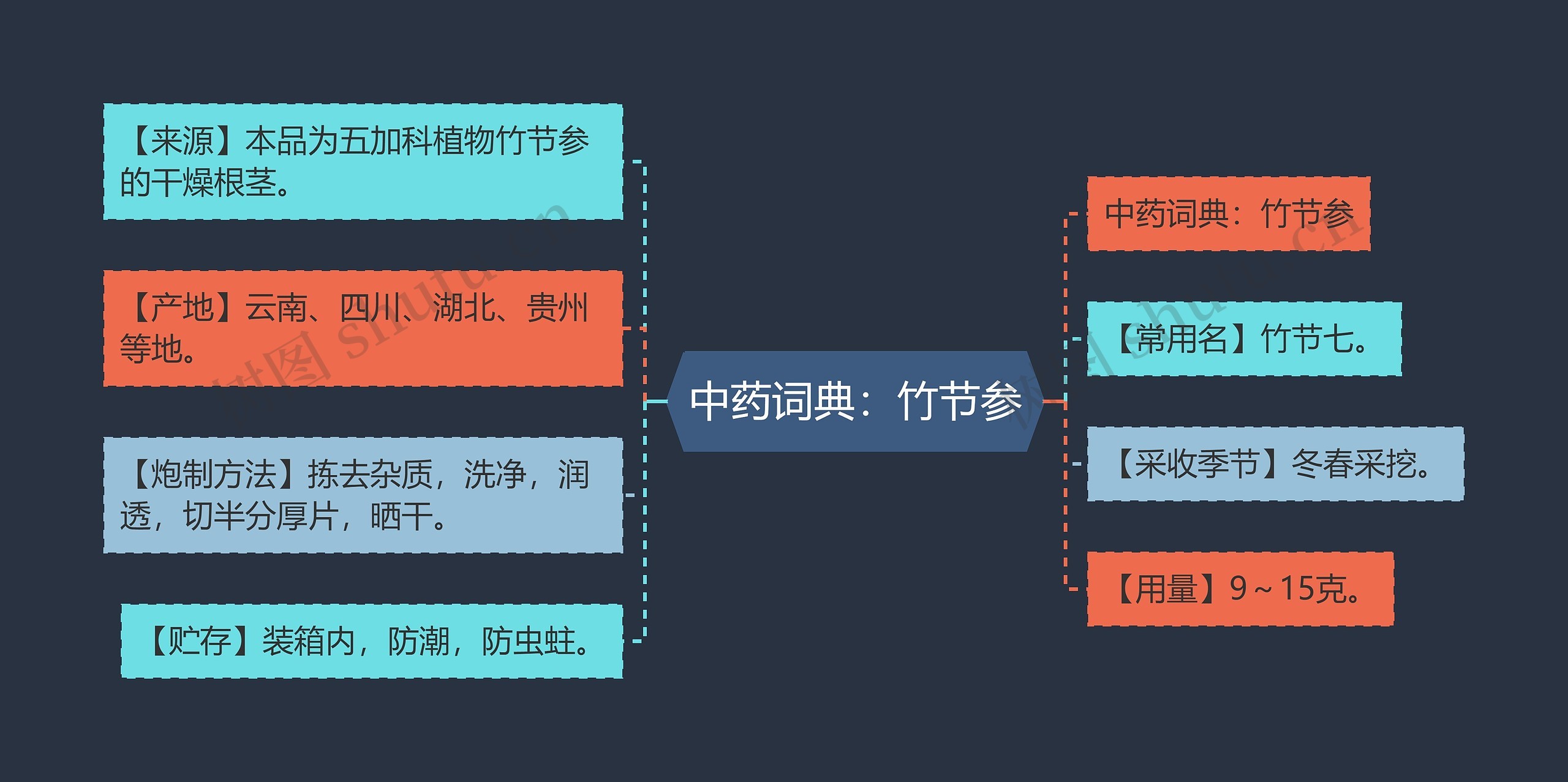 中药词典：竹节参思维导图