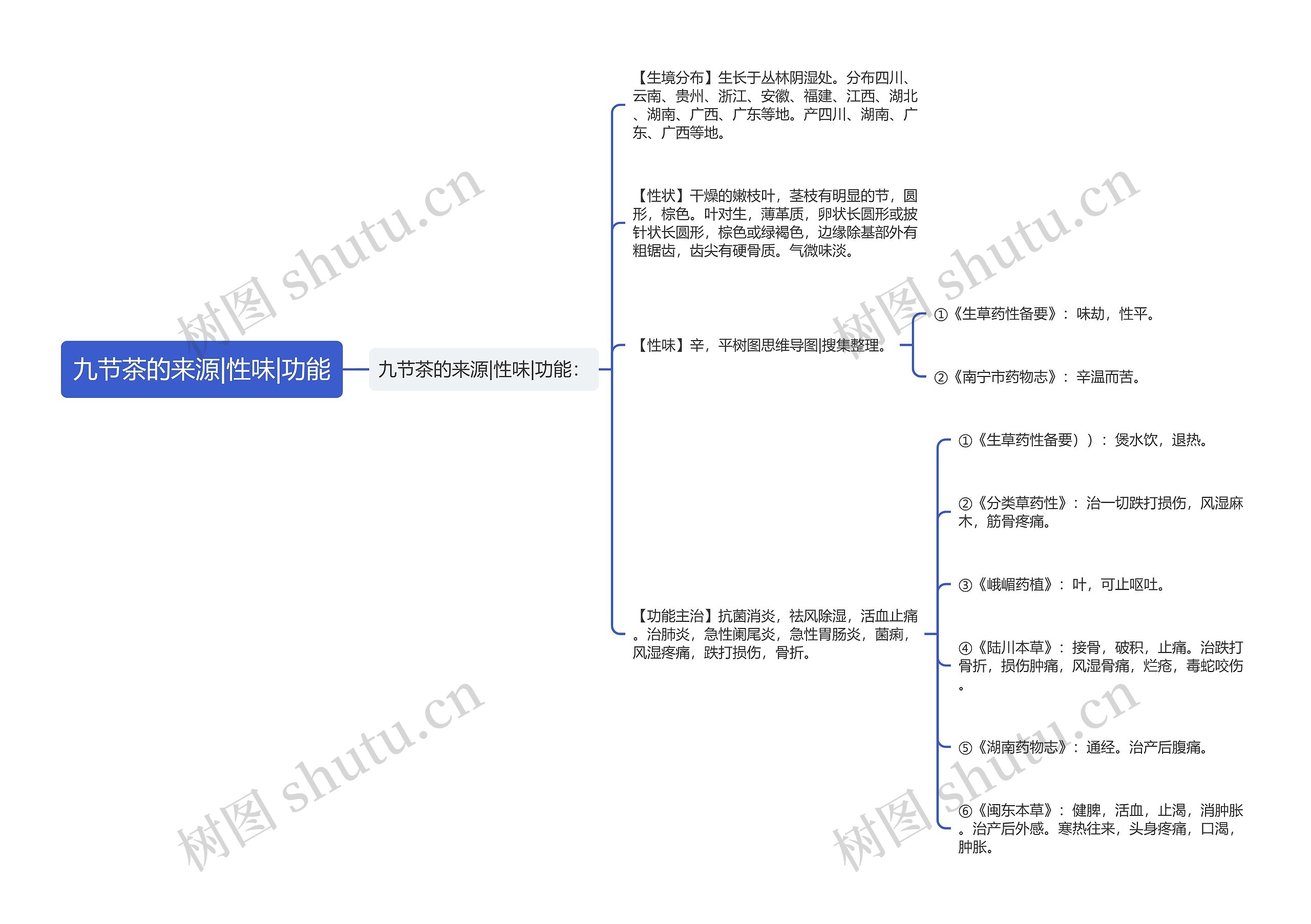 九节茶的来源|性味|功能思维导图