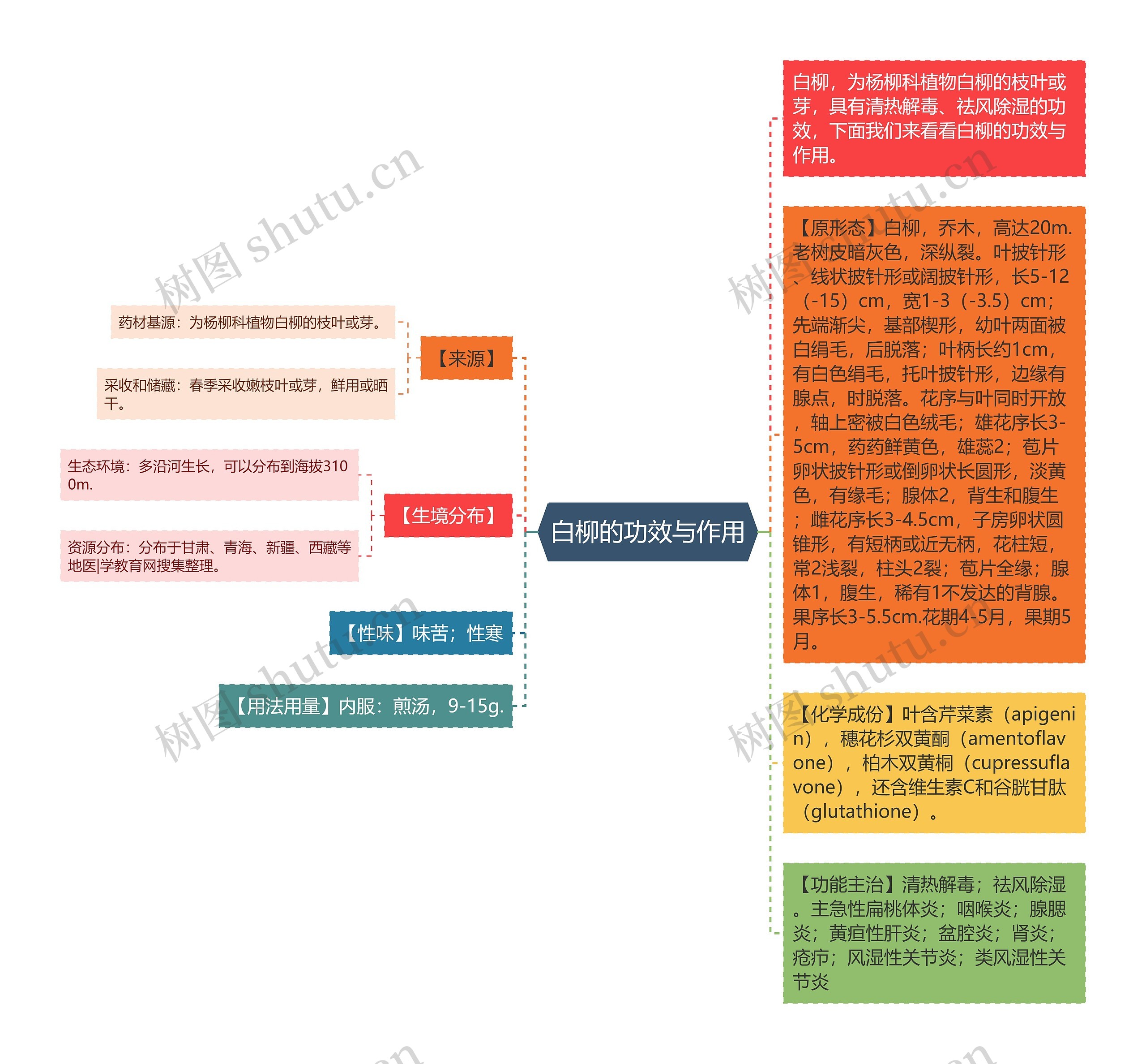 白柳的功效与作用思维导图