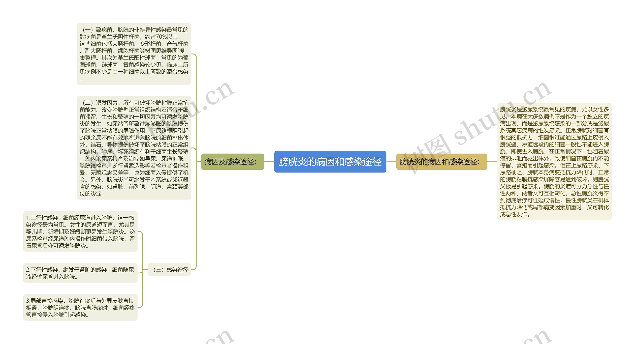 膀胱炎的病因和感染途径思维导图