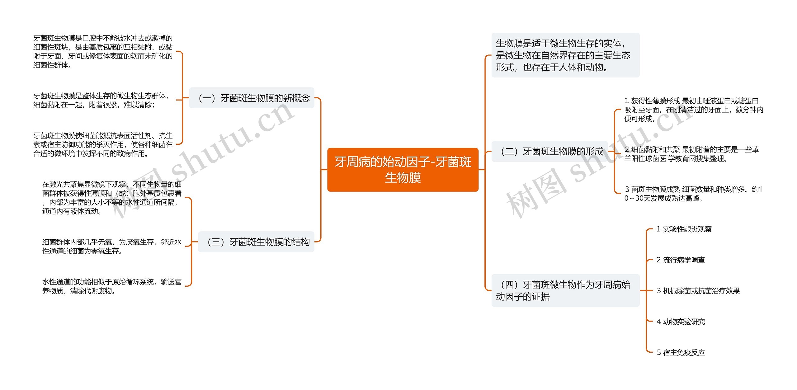 牙周病的始动因子-牙菌斑生物膜思维导图