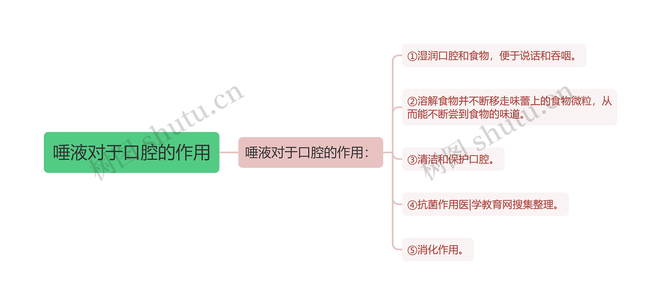 唾液对于口腔的作用思维导图