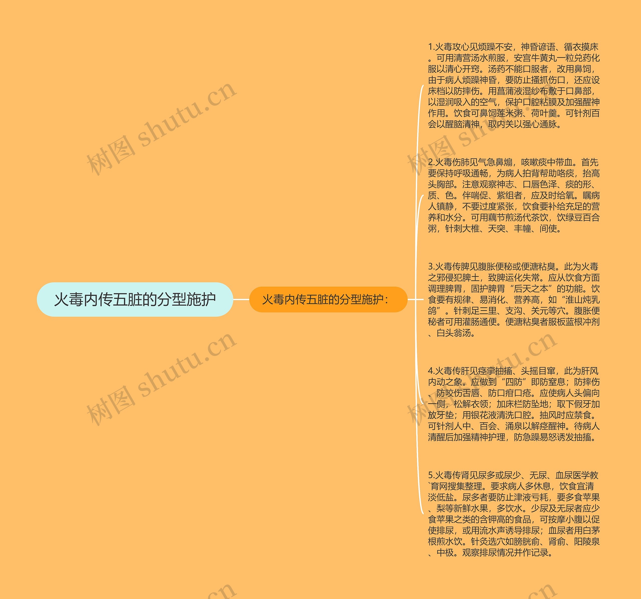 火毒内传五脏的分型施护