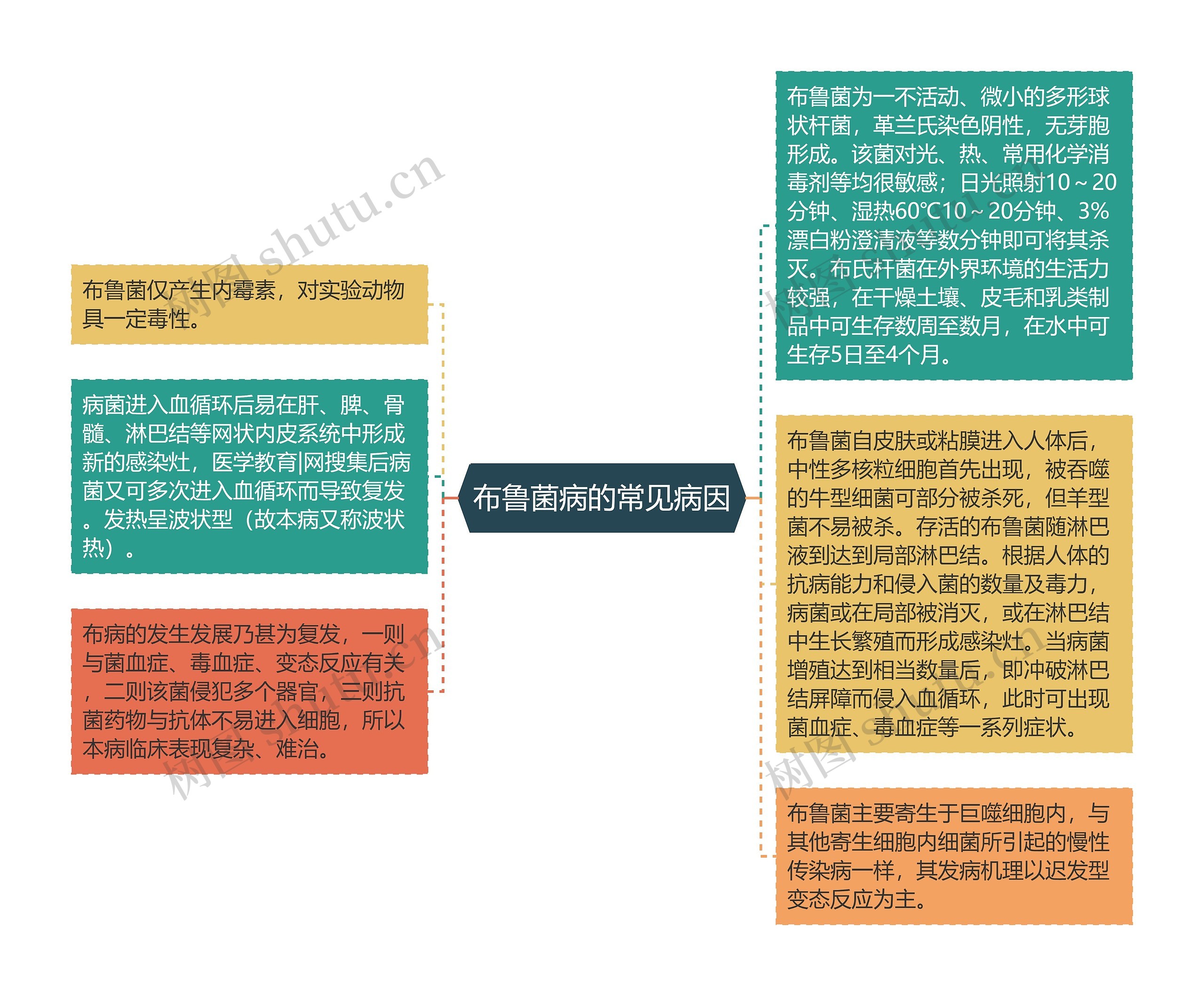 布鲁菌病的常见病因