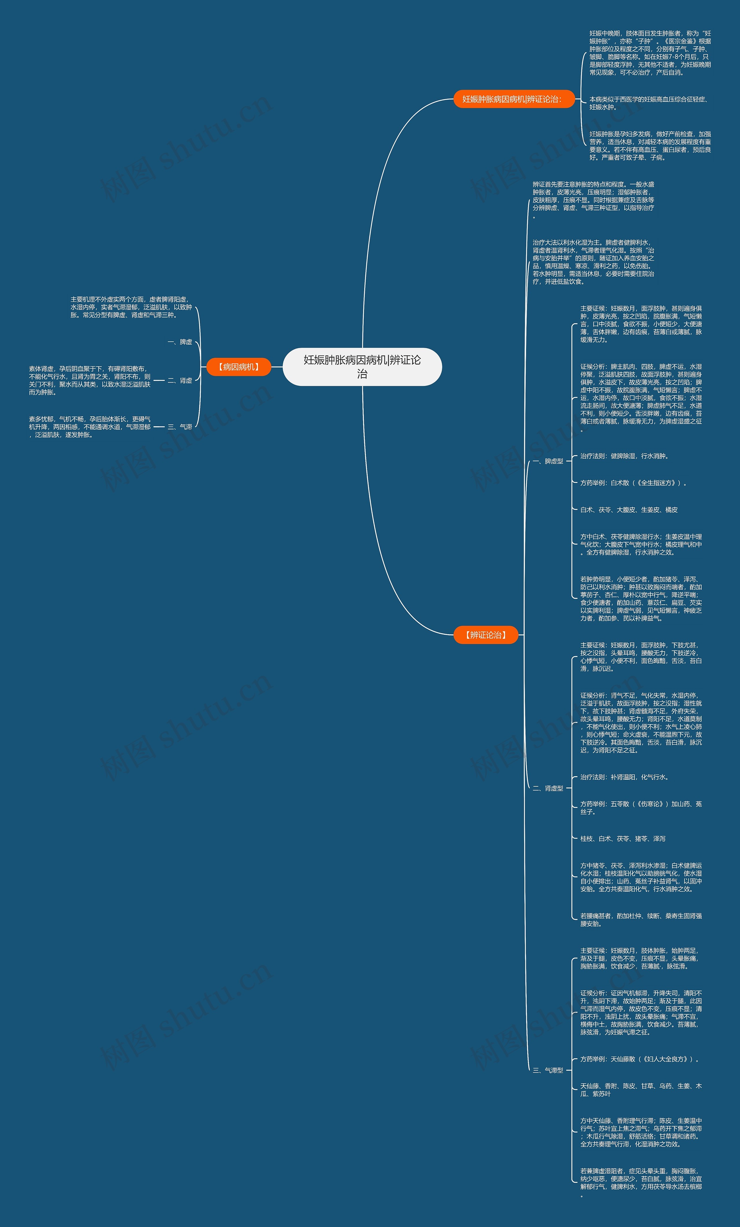 妊娠肿胀病因病机|辨证论治思维导图