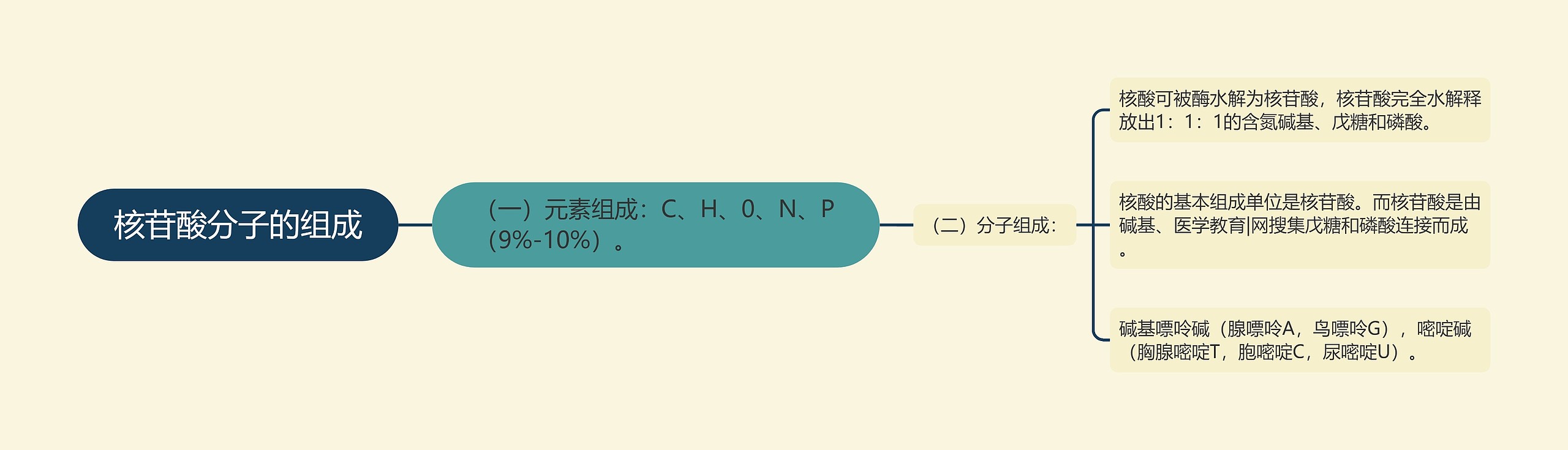 核苷酸分子的组成思维导图