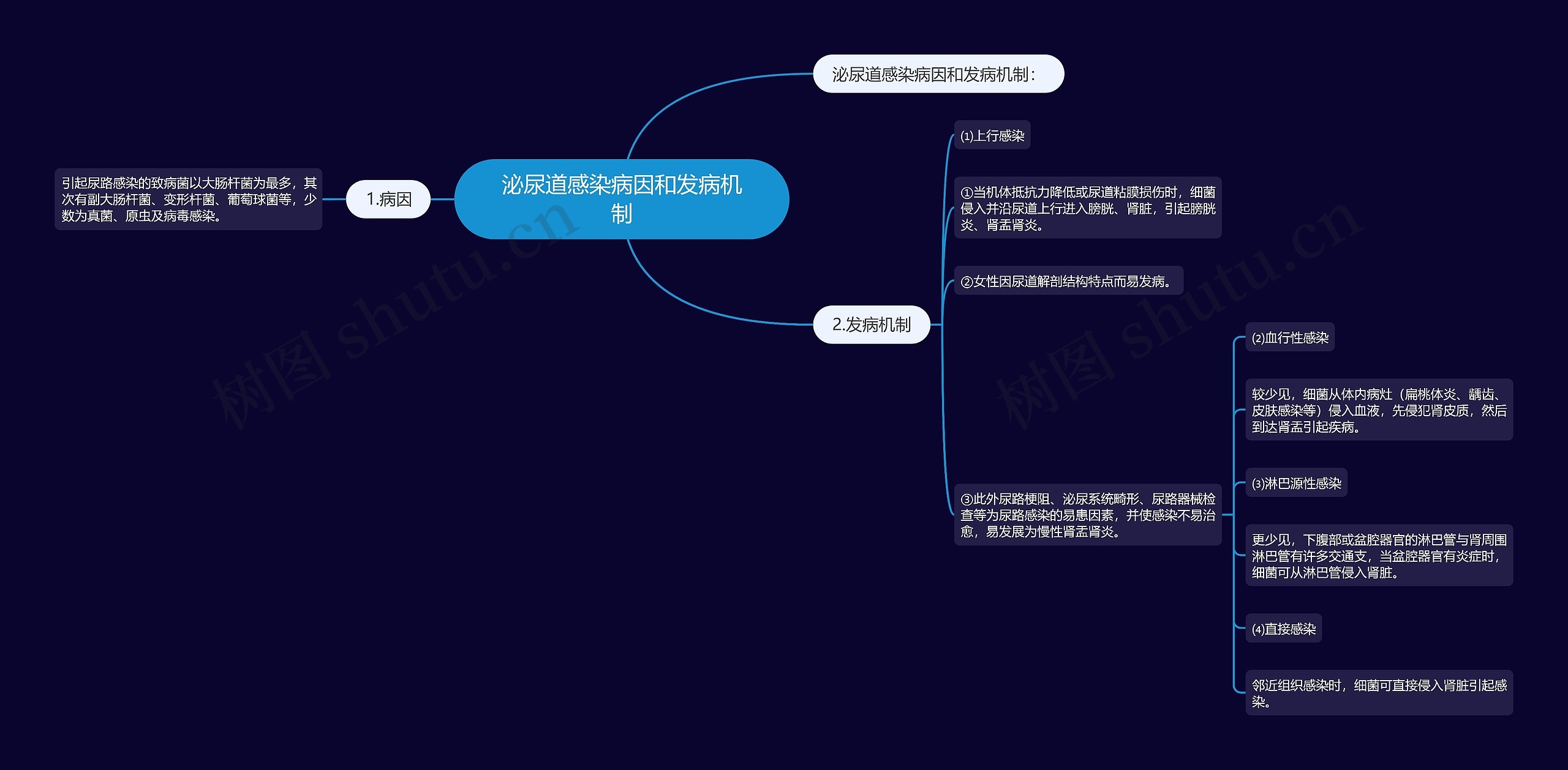 泌尿道感染病因和发病机制思维导图