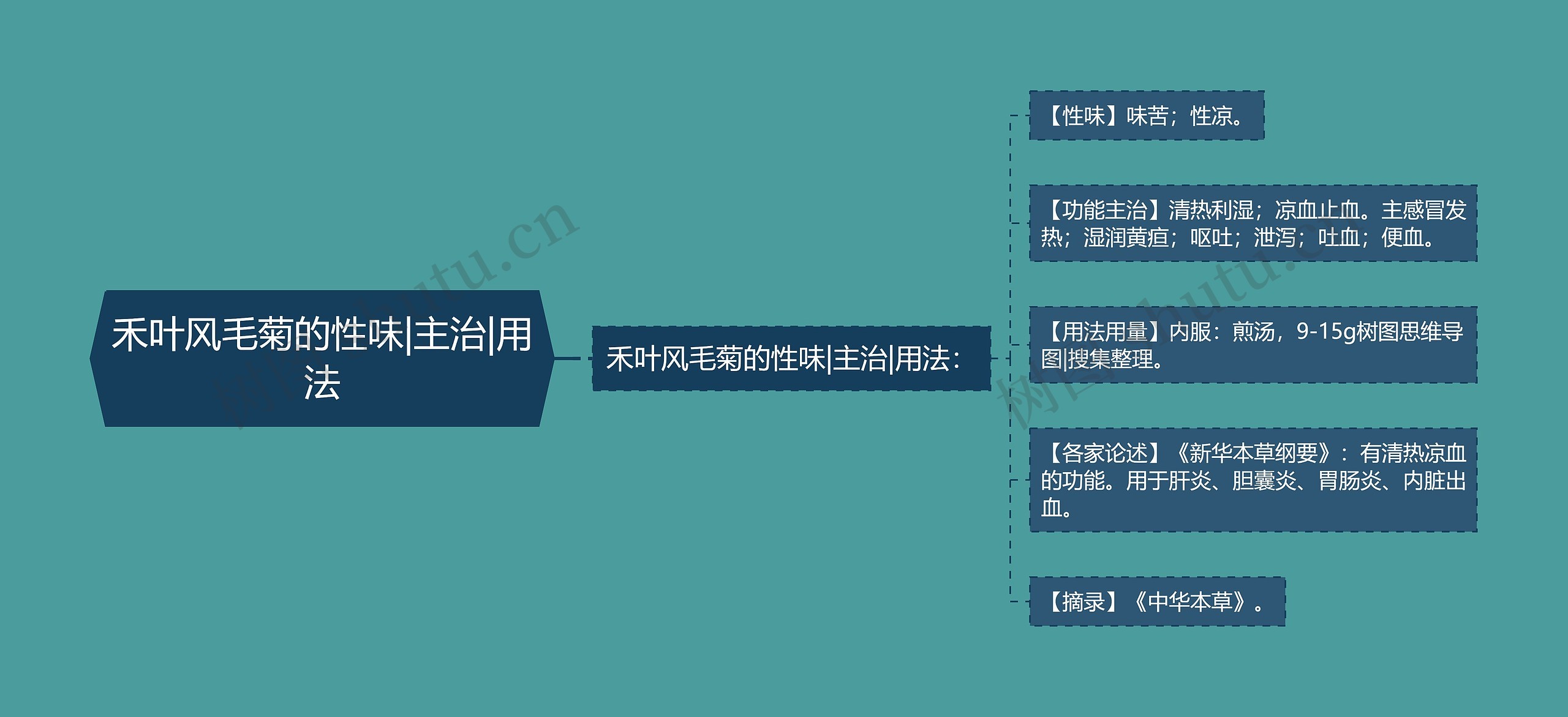 禾叶风毛菊的性味|主治|用法 禾叶风毛菊的性味|主治|用法