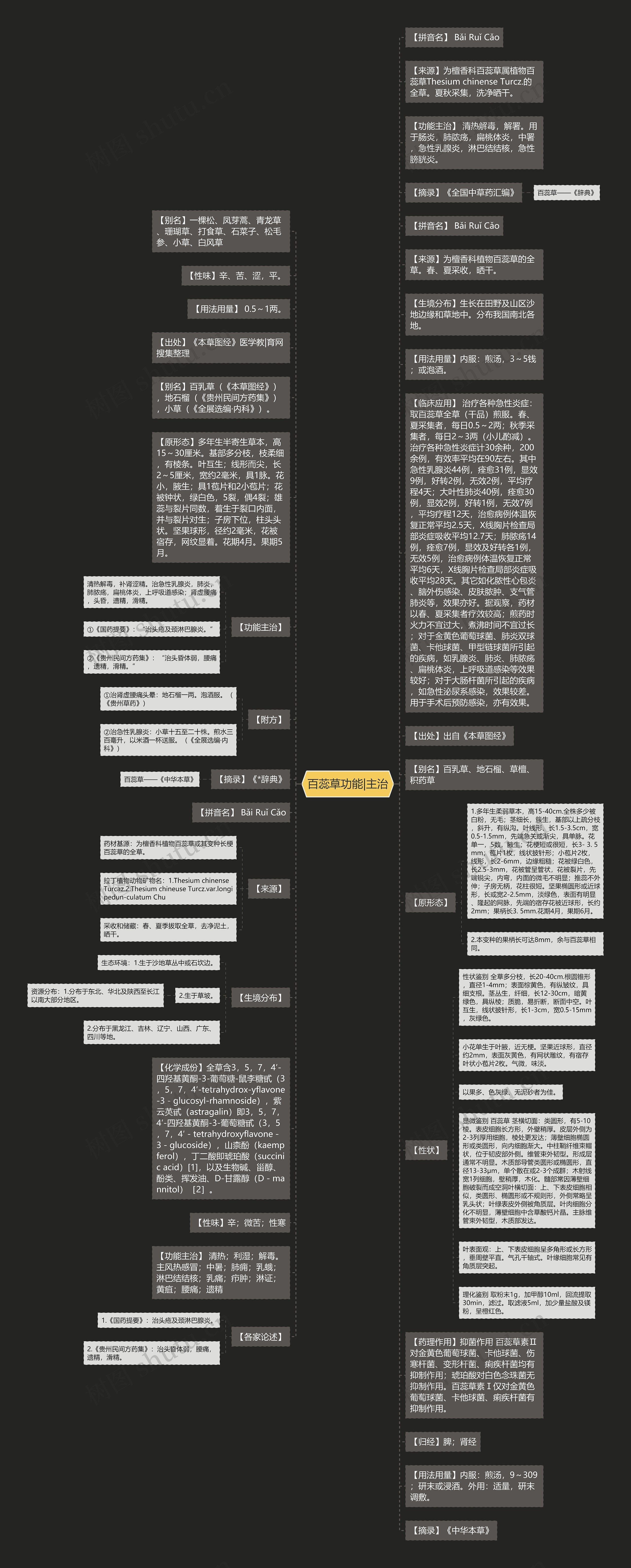 百蕊草功能|主治思维导图