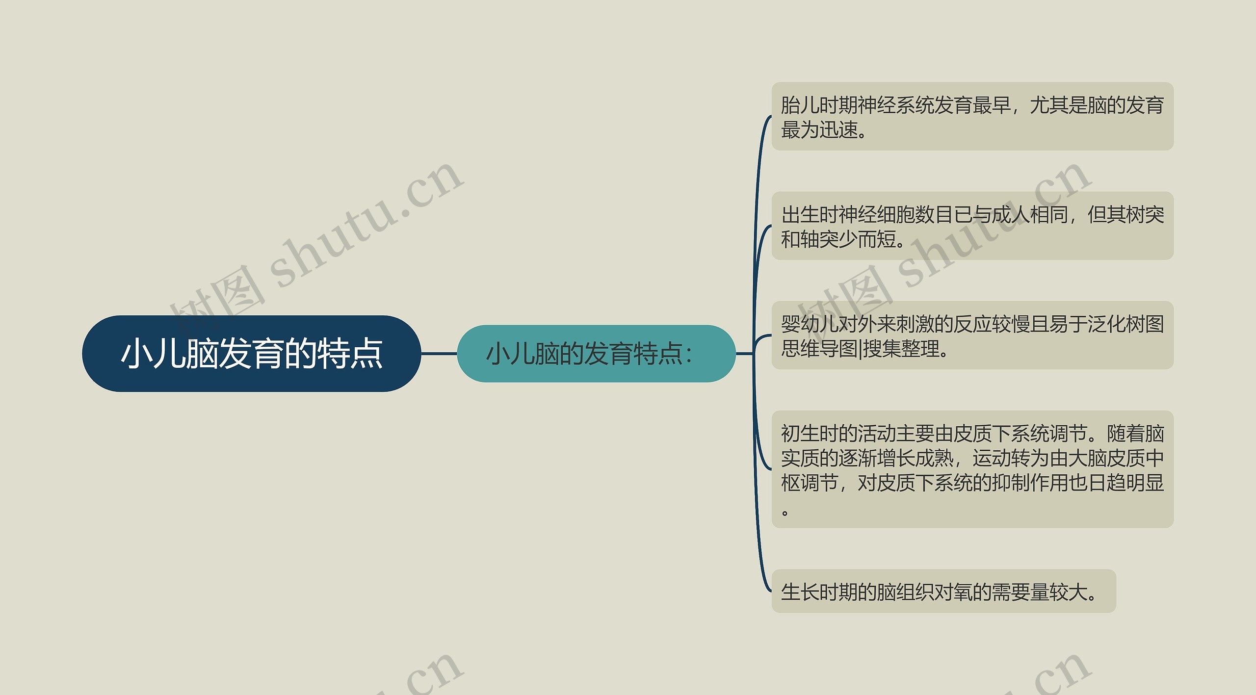 小儿脑发育的特点思维导图