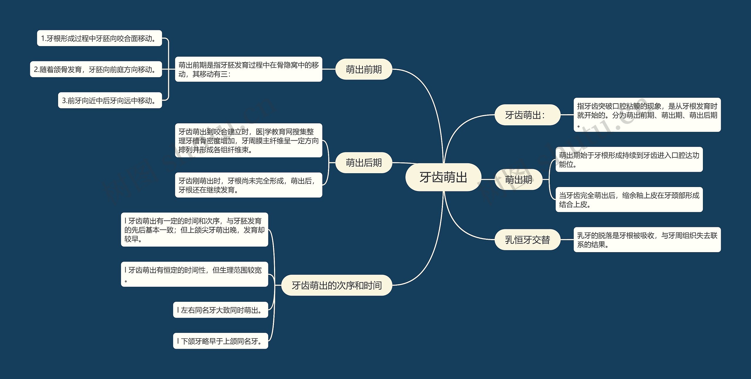 牙齿萌出思维导图