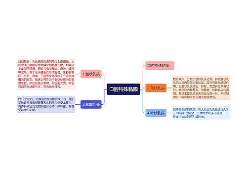 口腔特殊黏膜