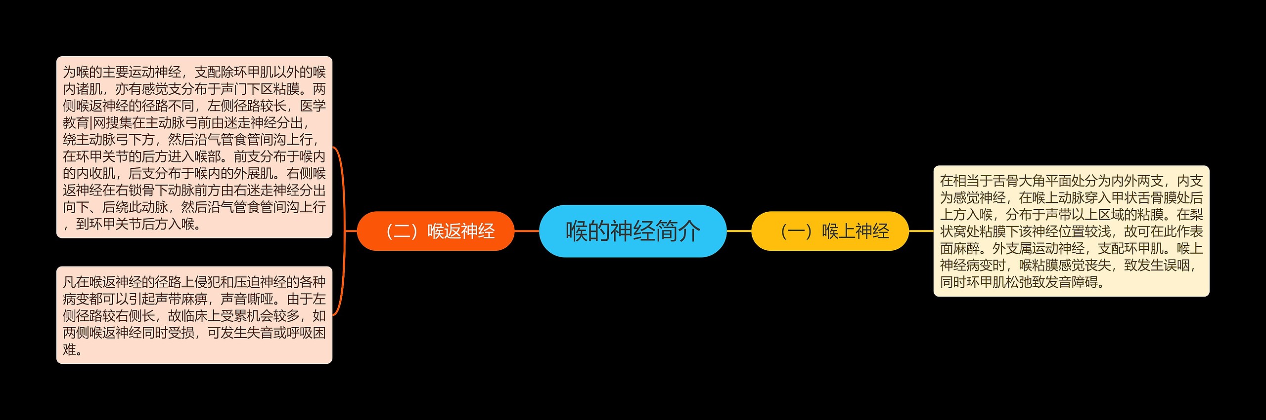 喉的神经简介 喉的神经简介