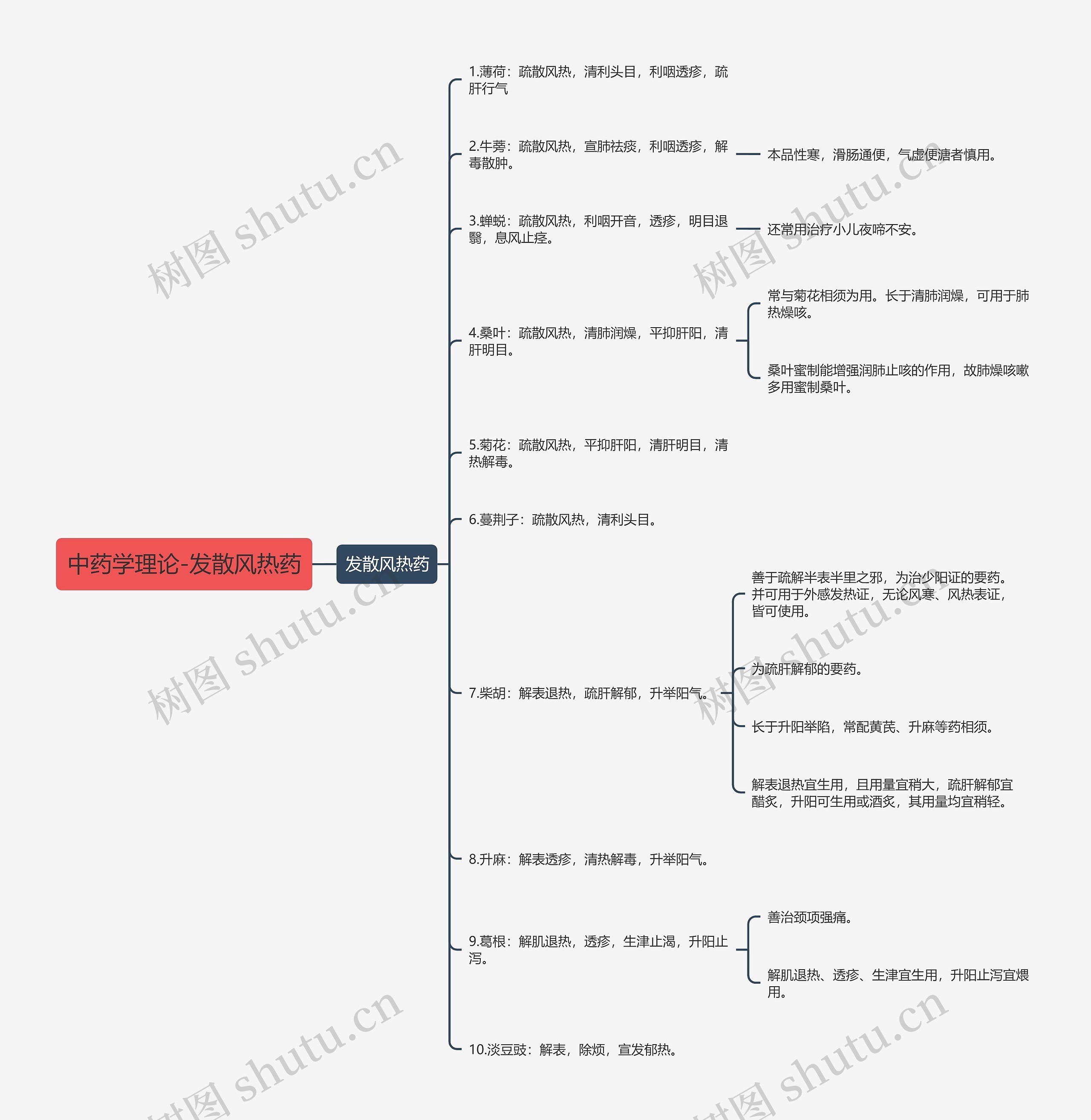 中药学理论-发散风热药思维导图