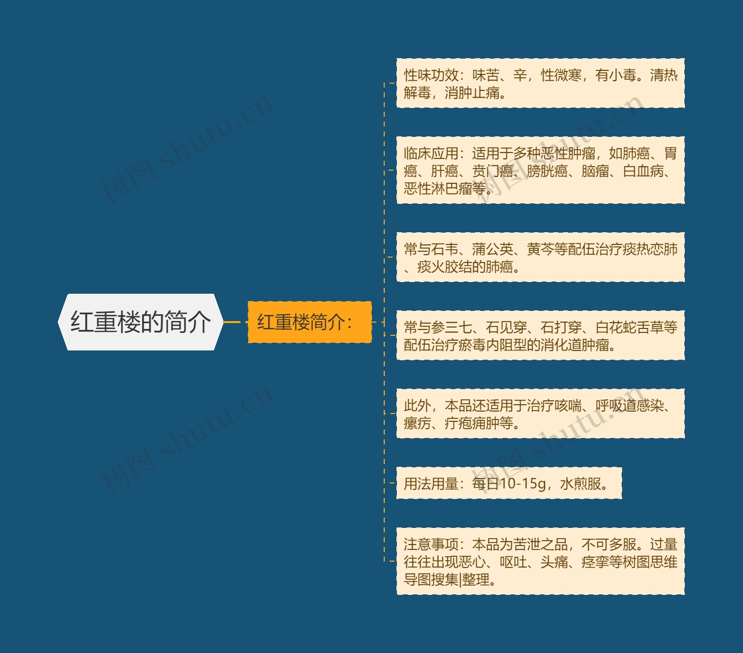 红重楼的简介 红重楼的简介