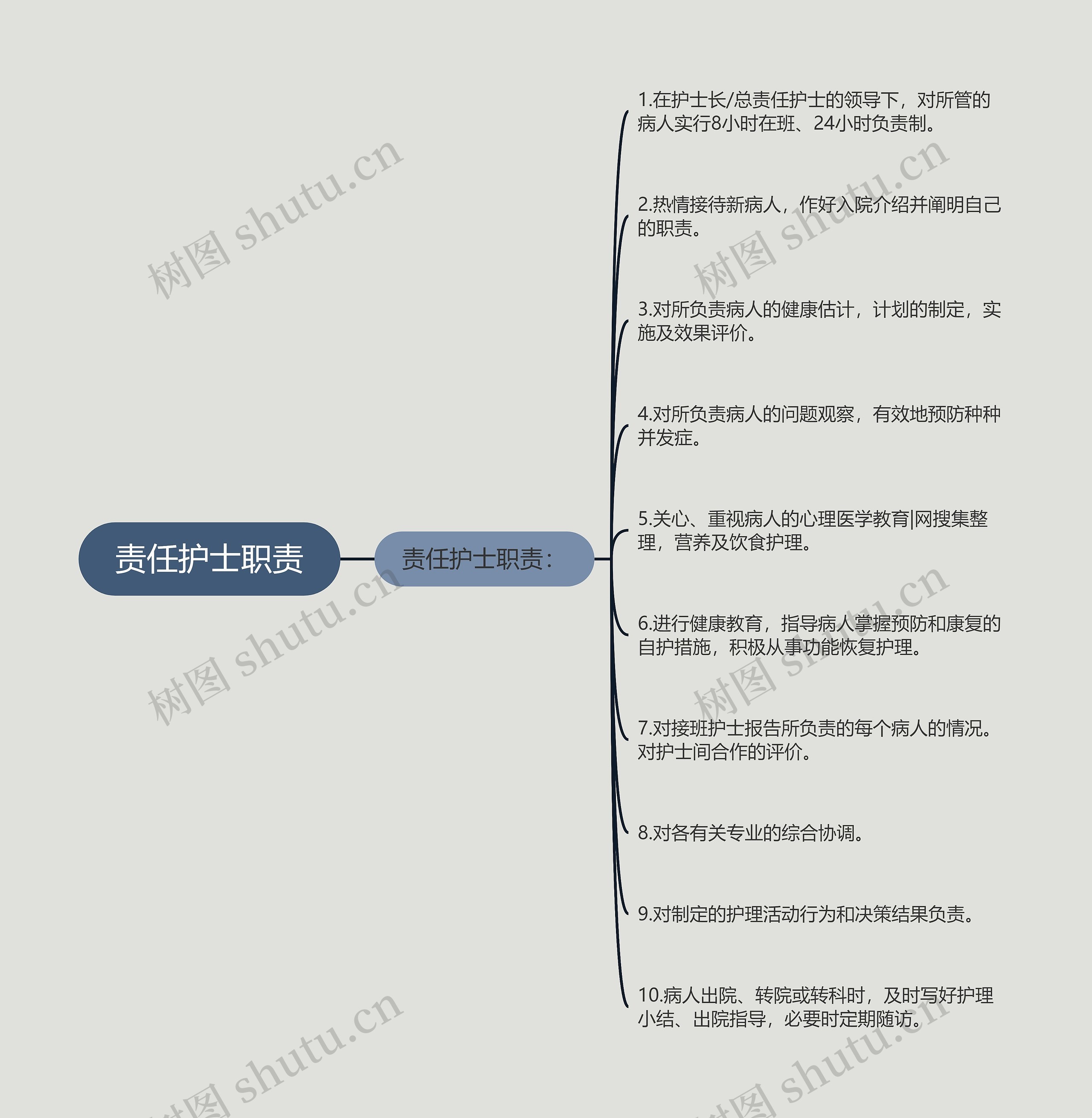 责任护士职责