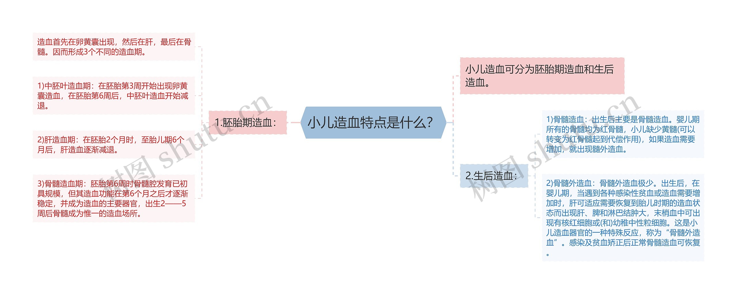 小儿造血特点是什么？