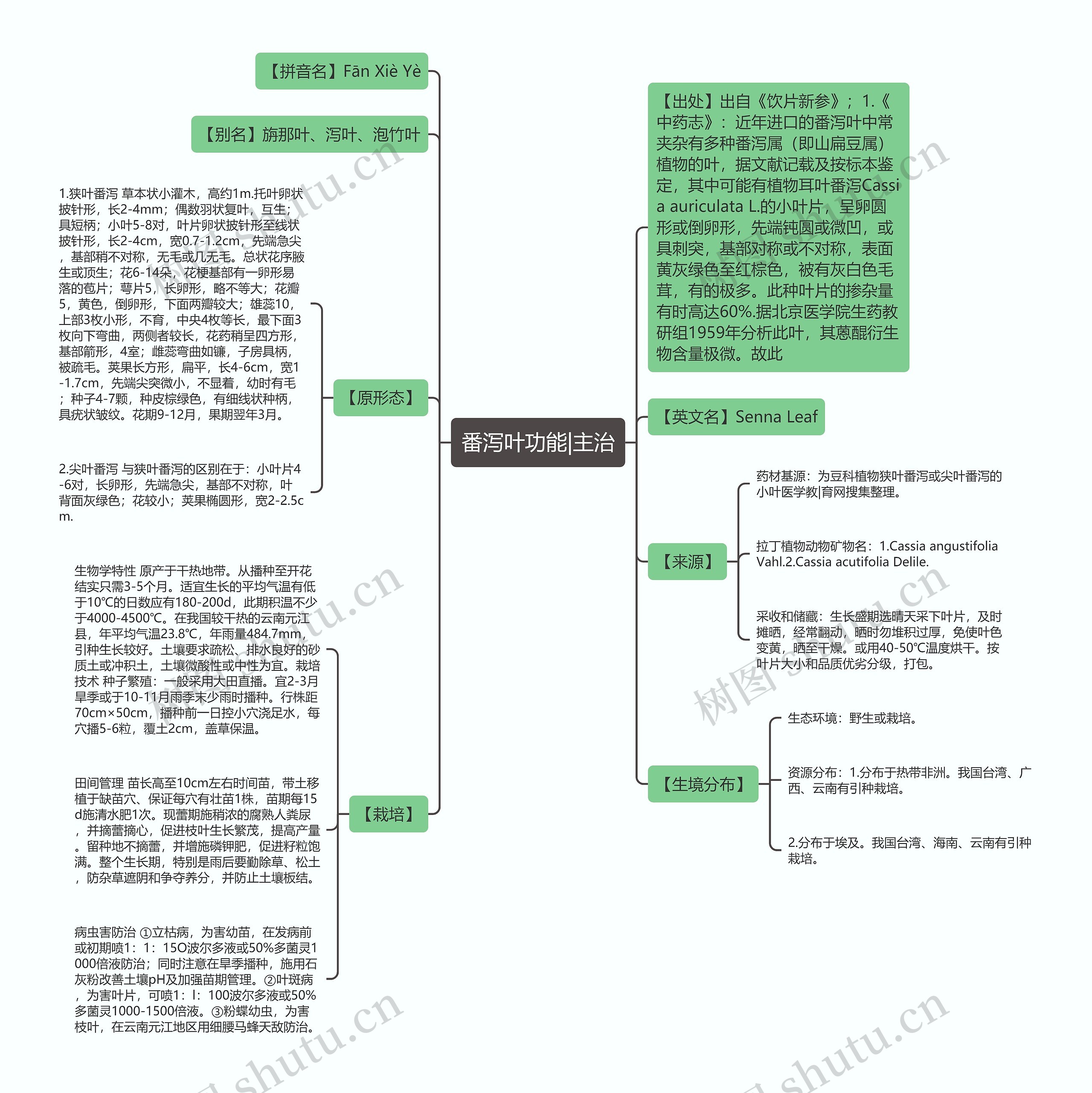 番泻叶功能|主治 番泻叶功能|主治