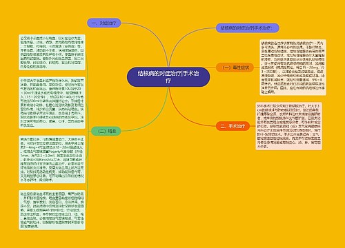 结核病的对症治疗|手术治疗