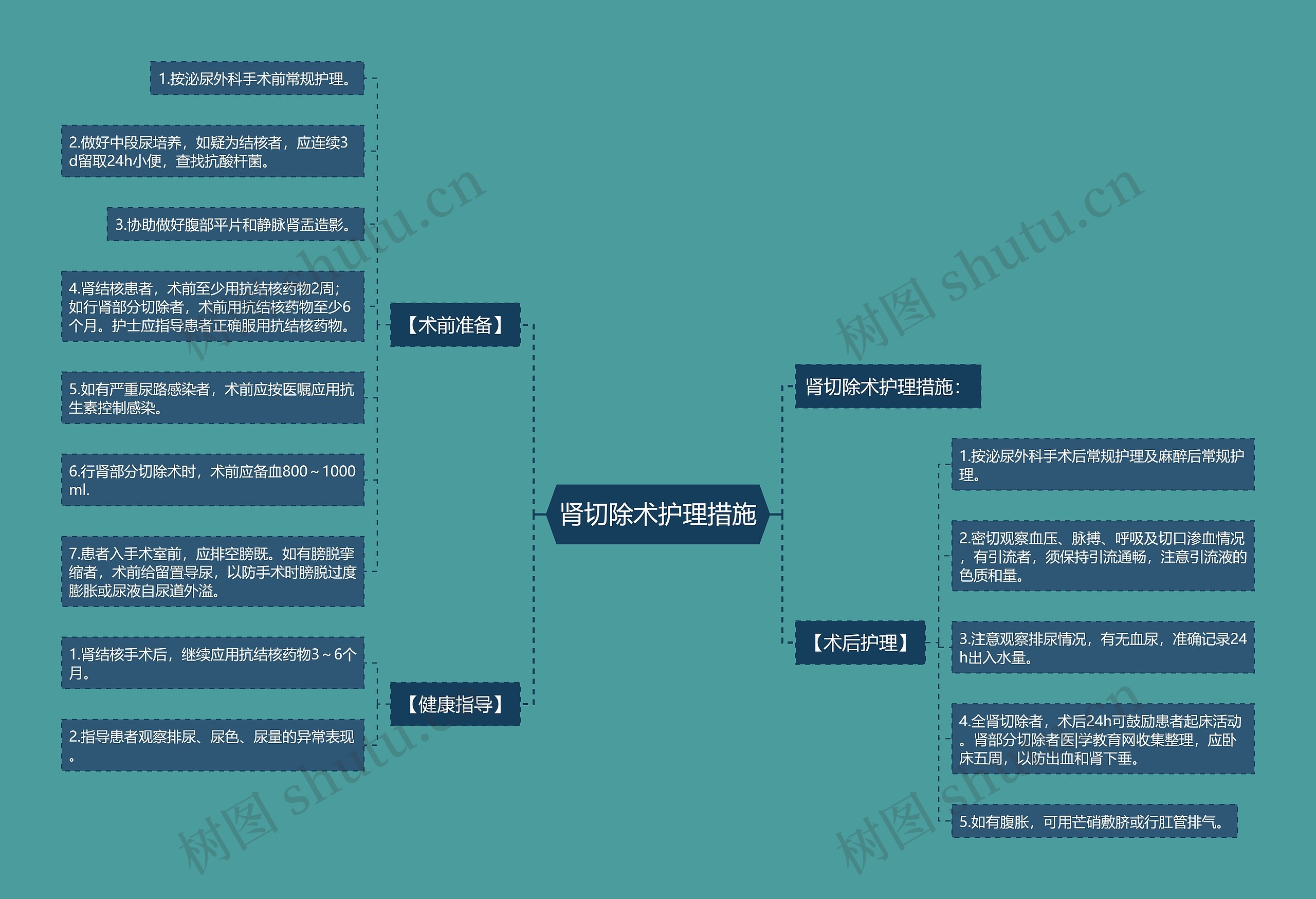 肾切除术护理措施思维导图