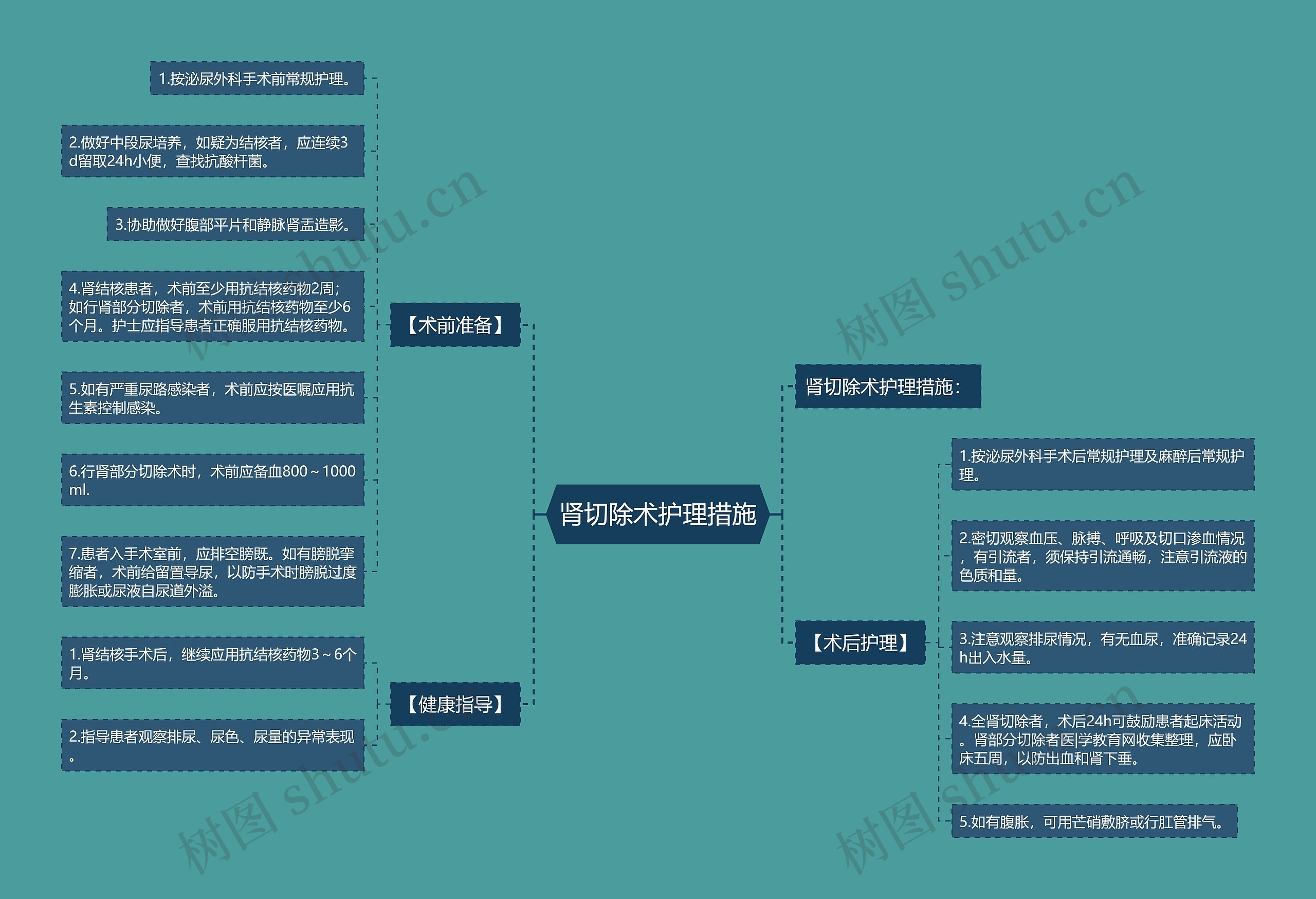 肾切除术护理措施 肾切除术护理措施