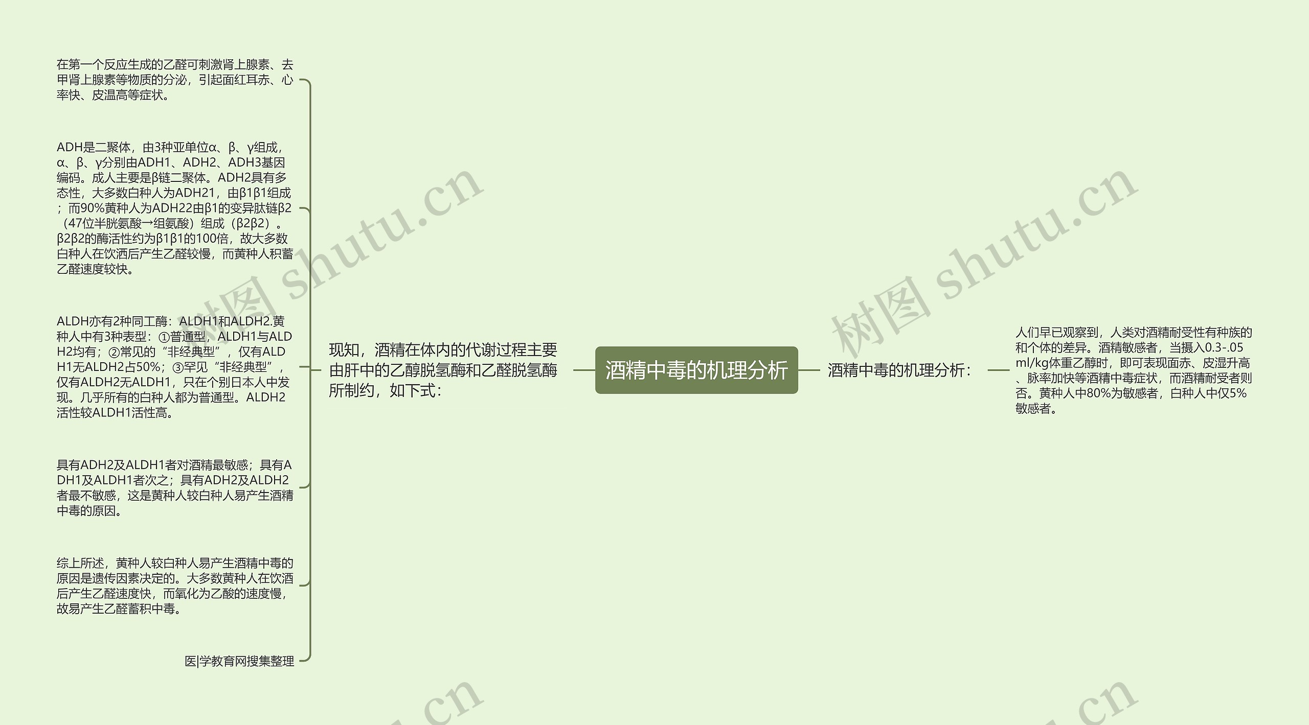 酒精中毒的机理分析