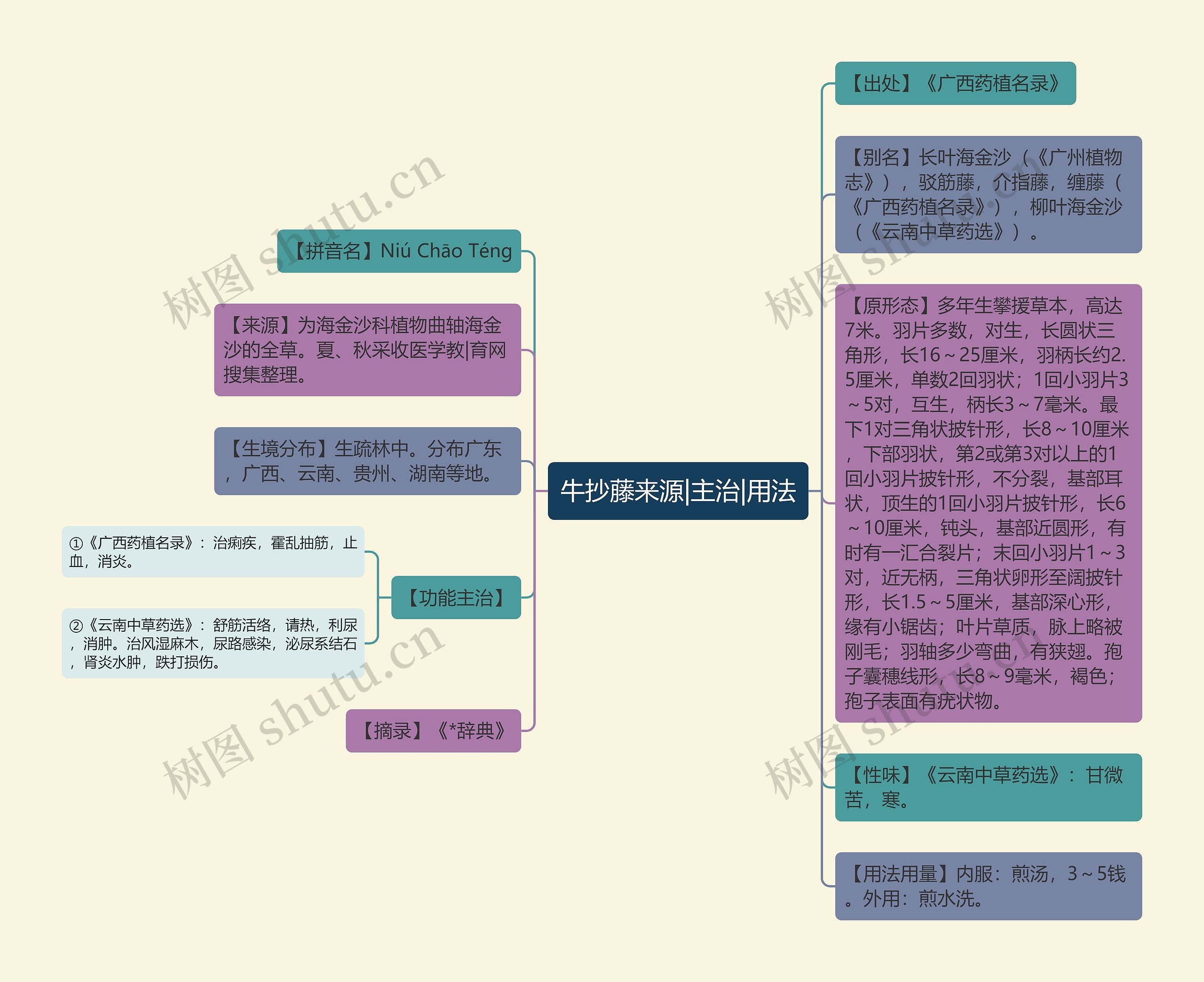 牛抄藤来源|主治|用法思维导图