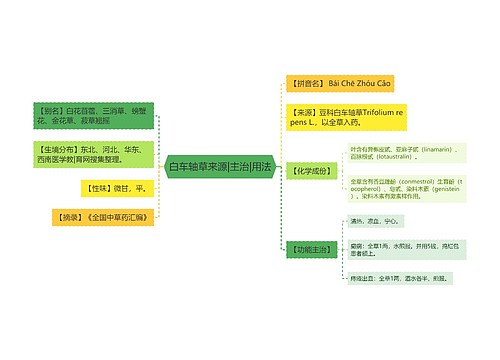 白车轴草来源|主治|用法
