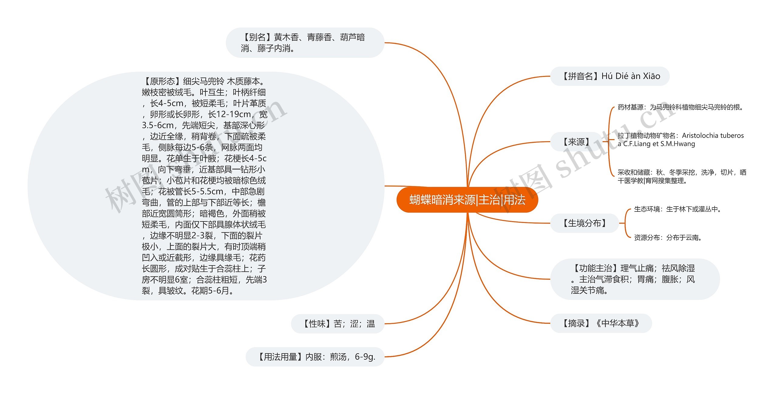 蝴蝶暗消来源|主治|用法思维导图