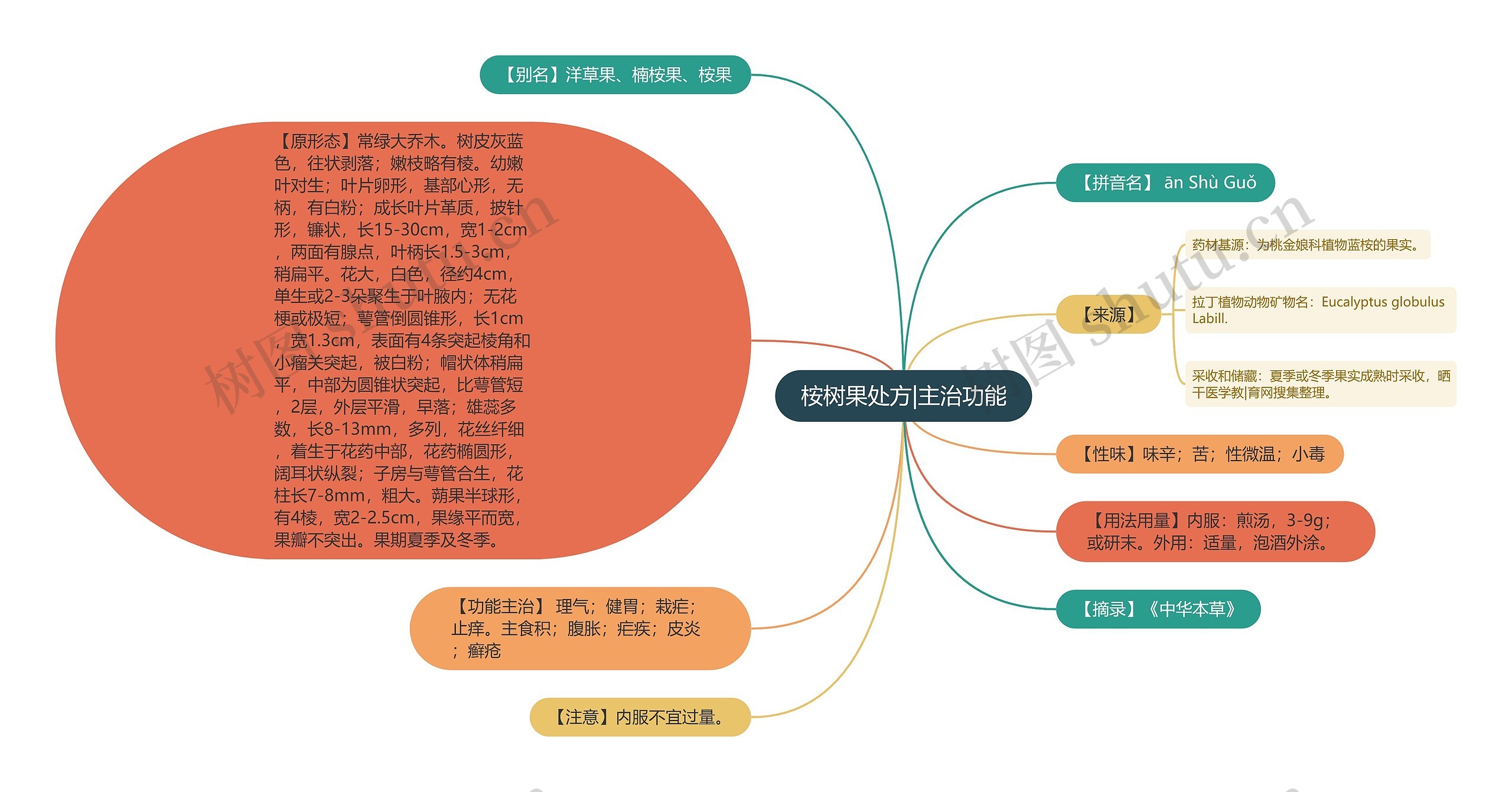 桉树果处方|主治功能思维导图