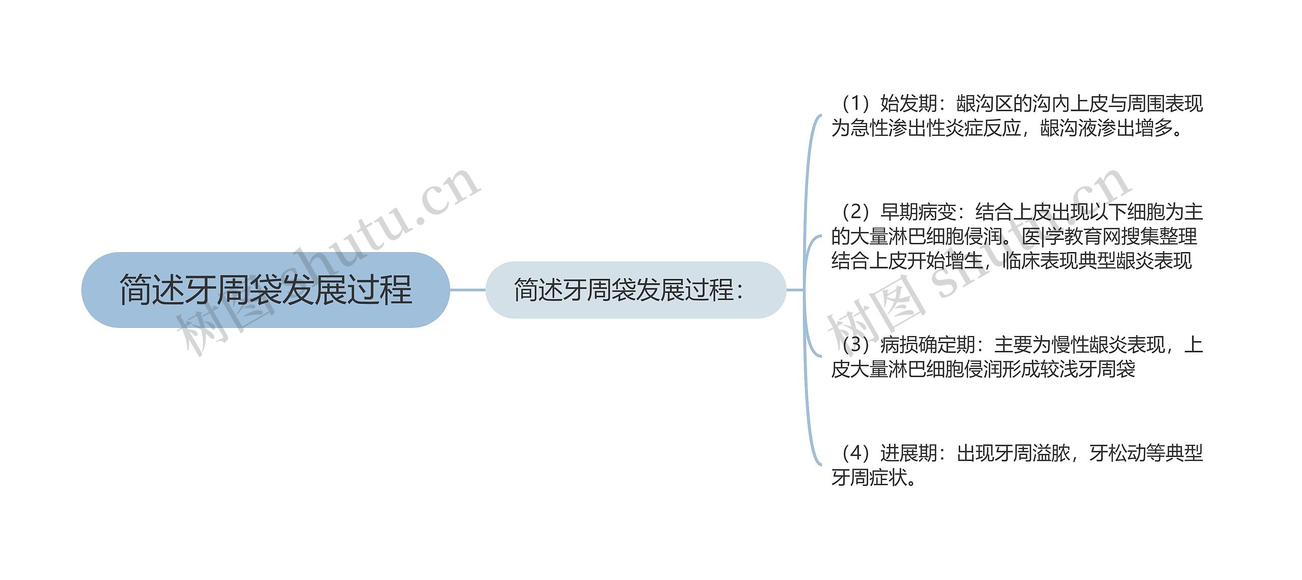 简述牙周袋发展过程