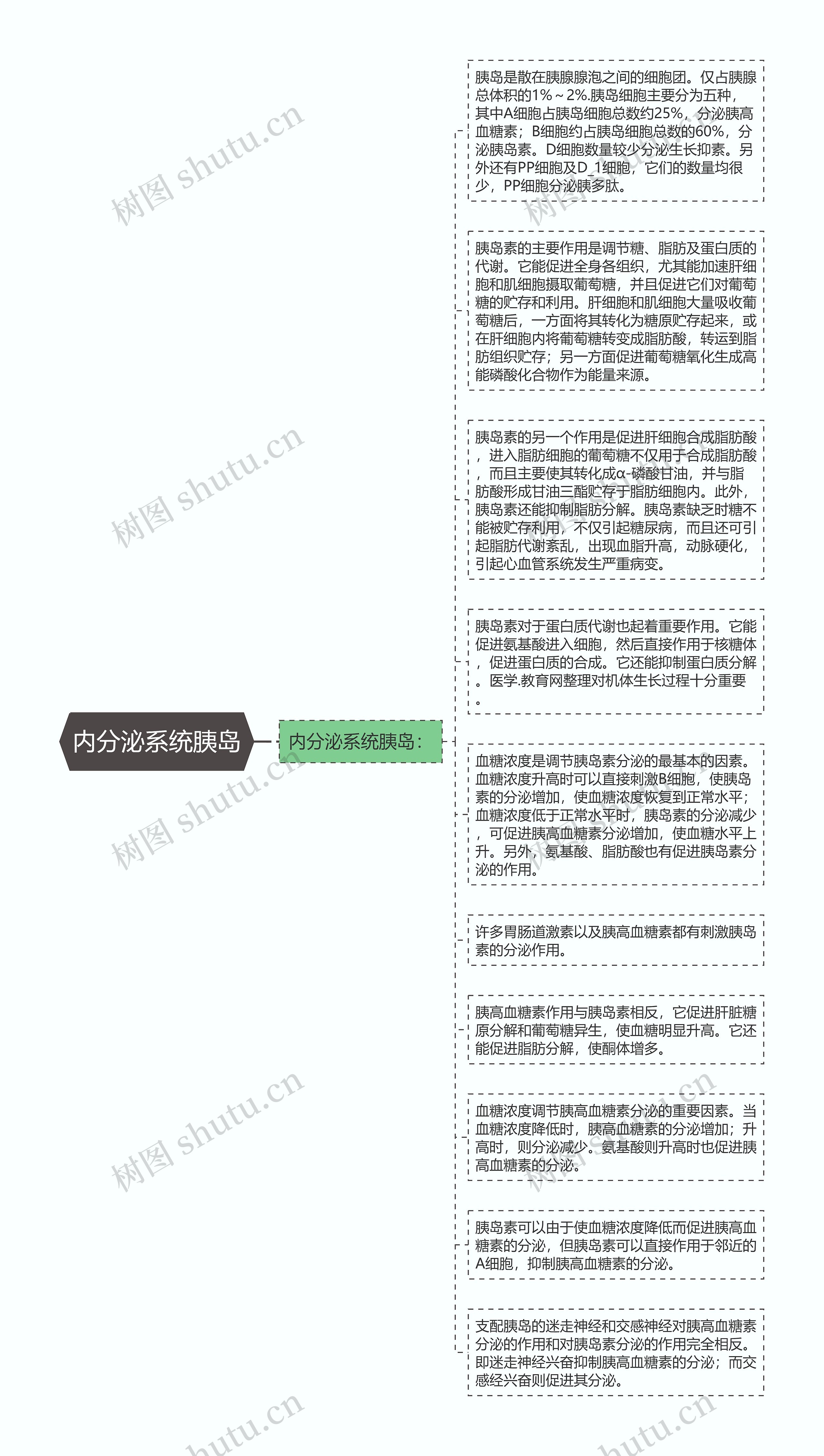 内分泌系统胰岛思维导图