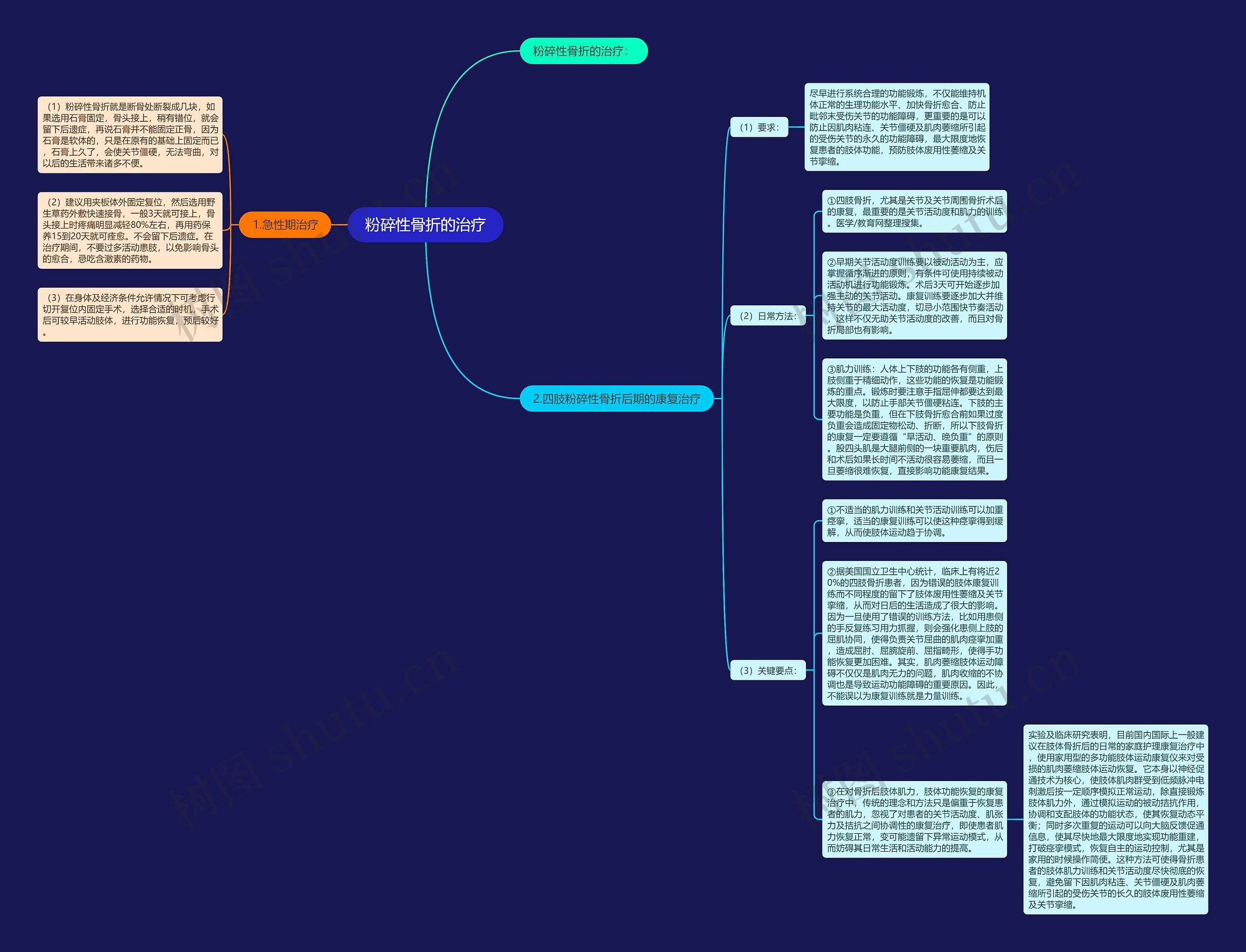 粉碎性骨折的治疗思维导图